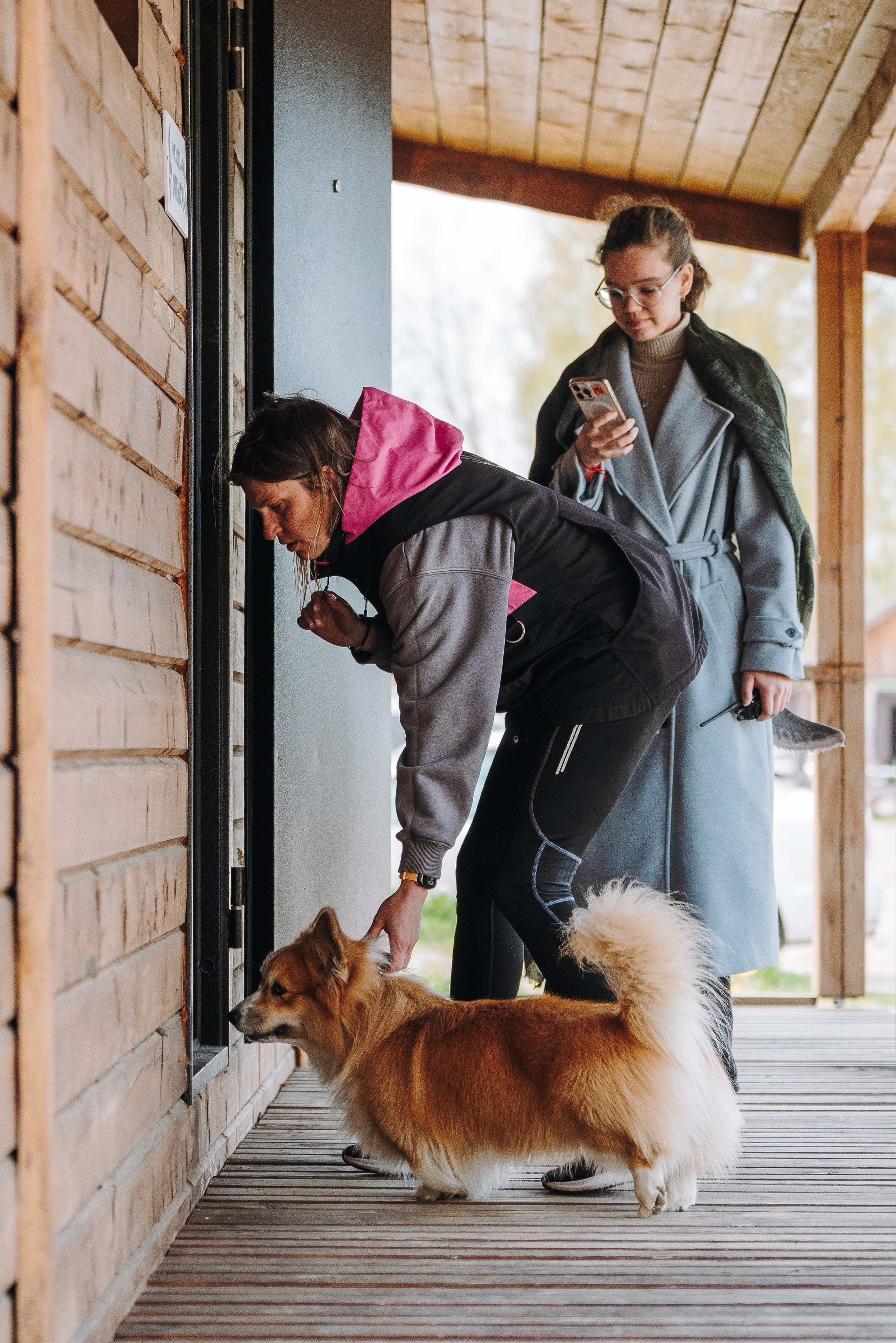 Соревнования по ноузворку в Лосево. Фотограф анималист в Спб недорого Олеся Майорова
