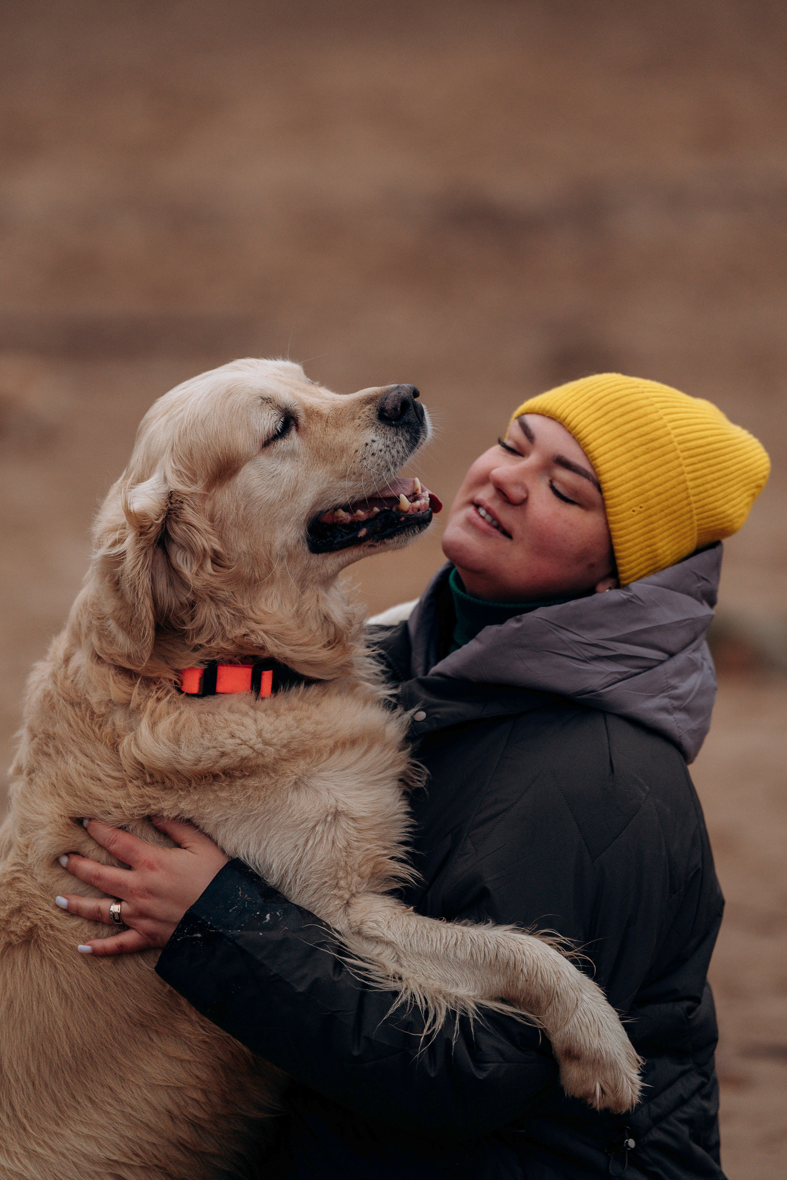 Асти, Крис и Александра. Фотограф анималист в Спб недорого Олеся Майорова
