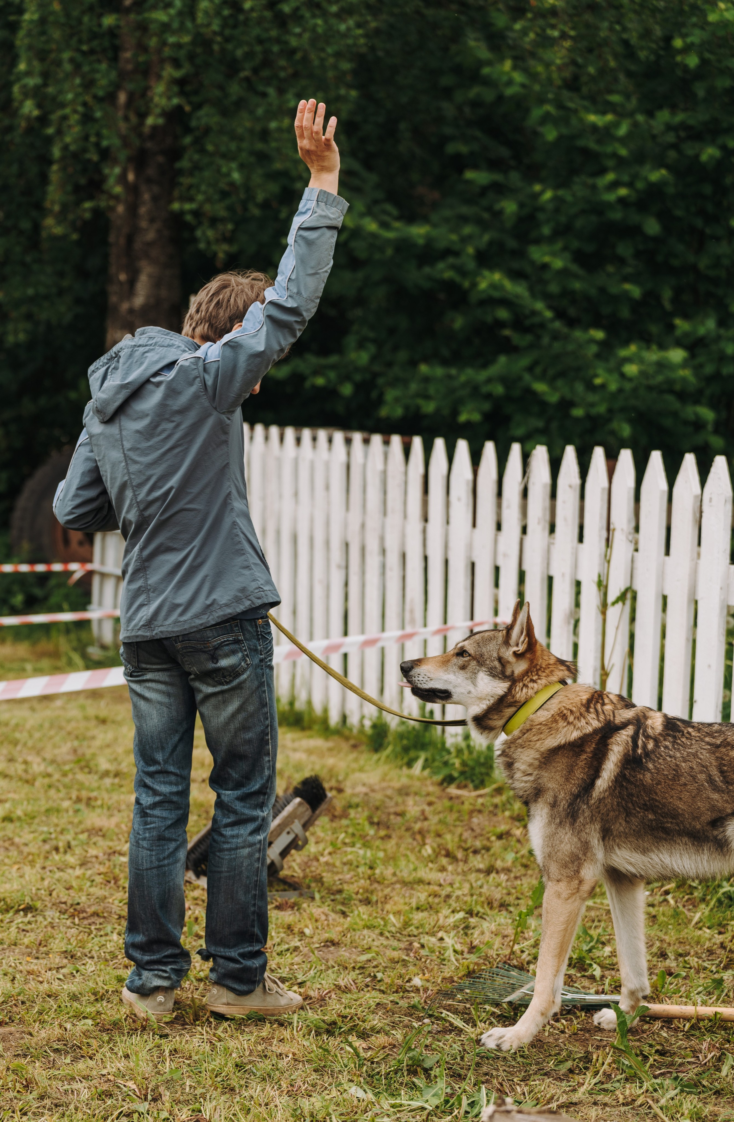 Соревнования по ноузворку. Фотограф анималист в Спб недорого Олеся Майорова