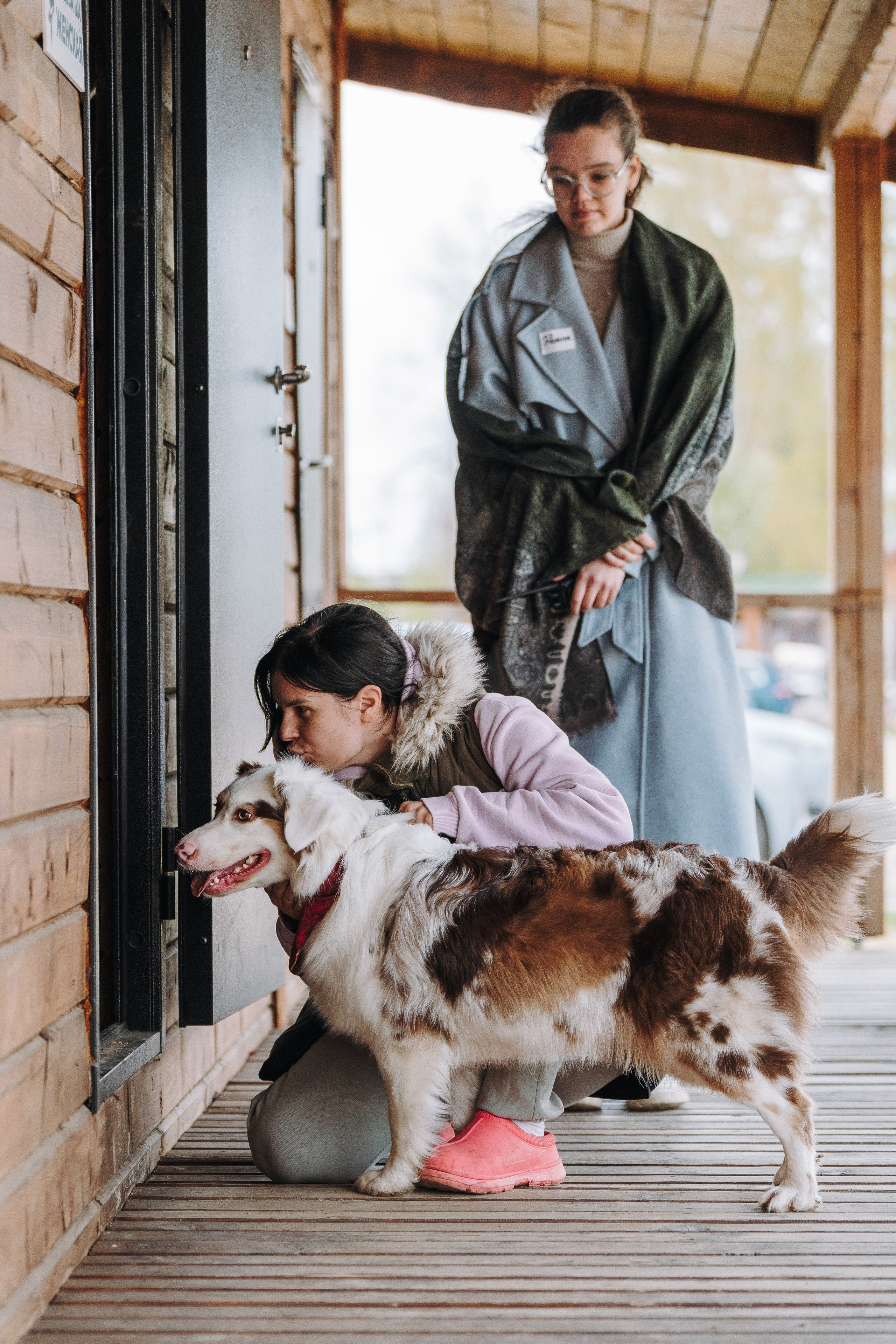 Соревнования по ноузворку в Лосево. Фотограф анималист в Спб недорого Олеся Майорова