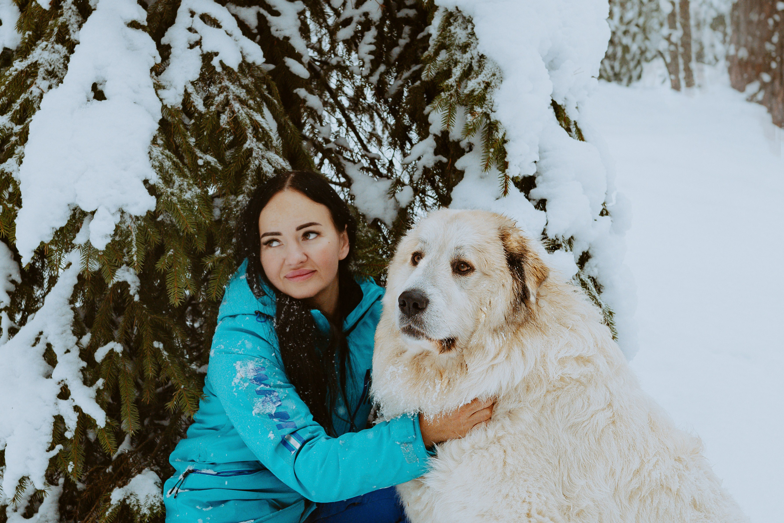 Фотограф питомцев в Санкт-Петербурге. Фотограф анималист в Спб недорого Олеся Майорова
