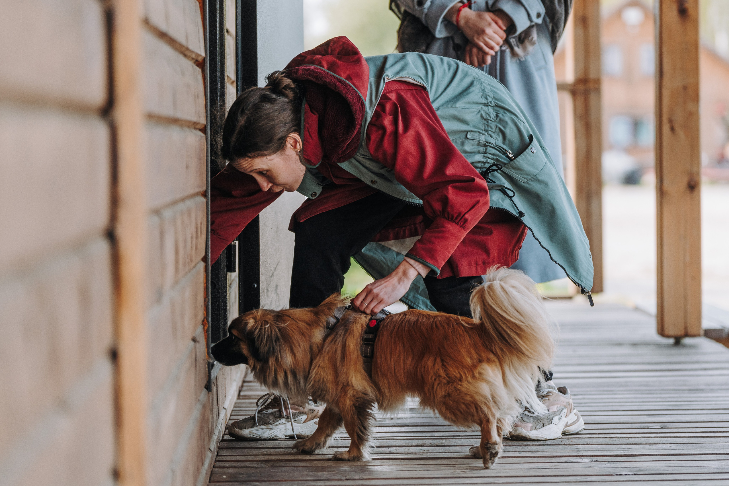 Соревнования по ноузворку в Лосево. Фотограф анималист в Спб недорого Олеся Майорова