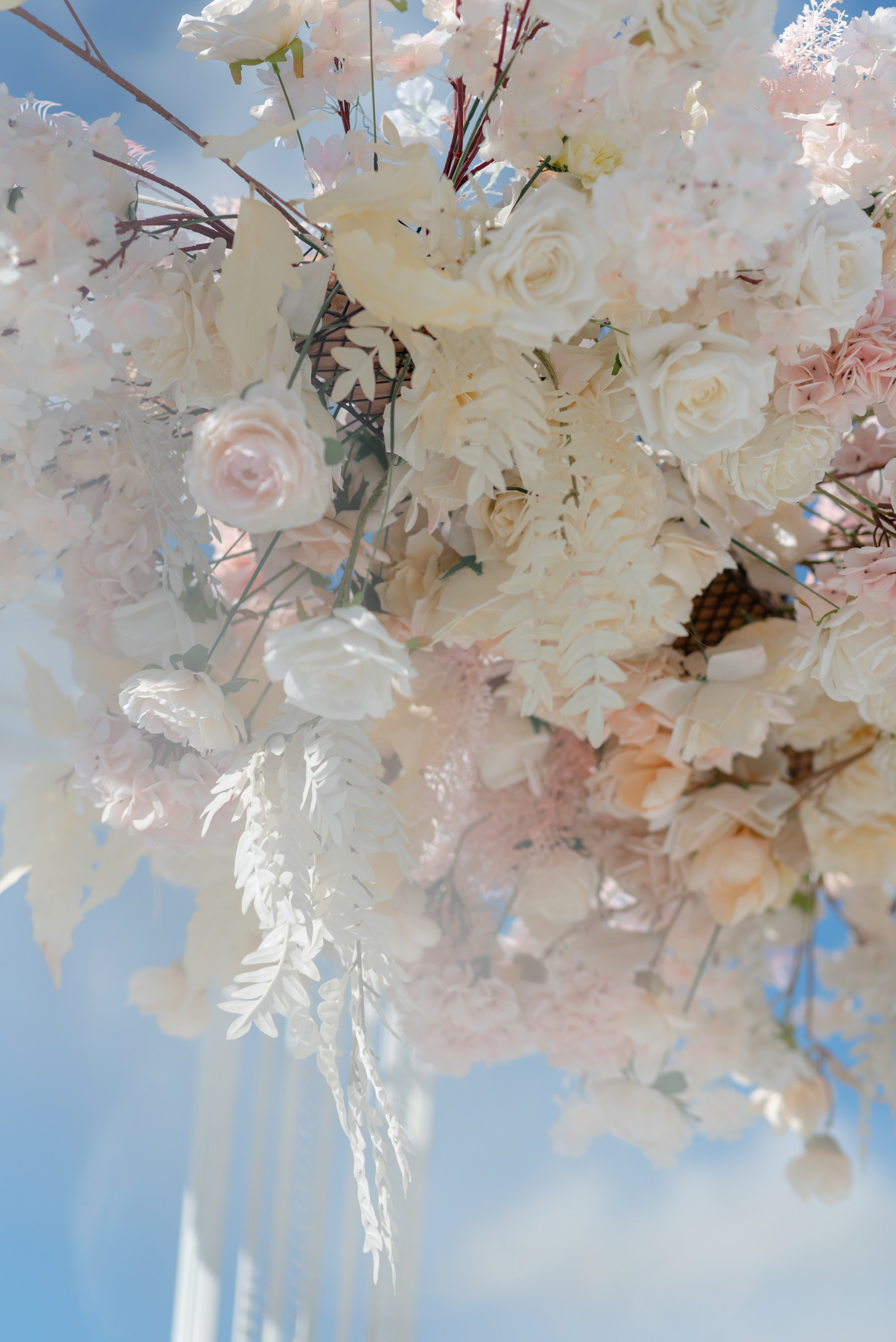 Александр и Юлия. Фотограф Елена Кучук