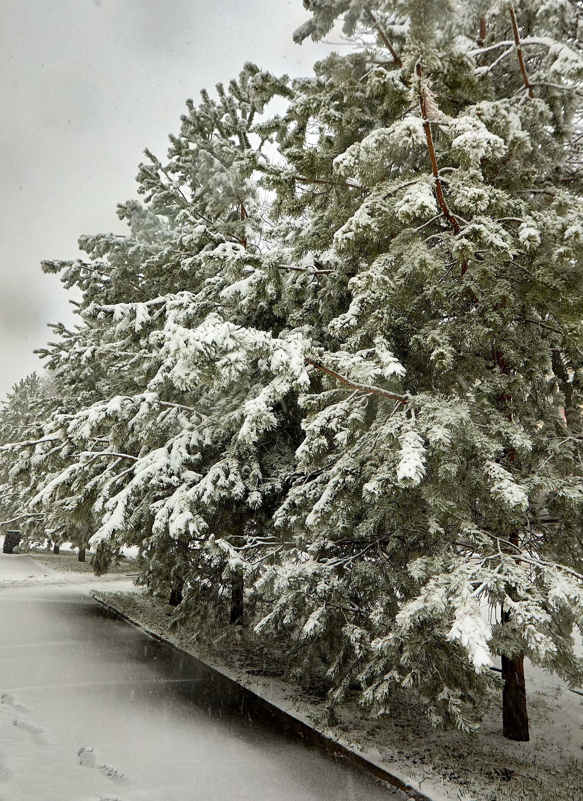 Видовые фото УГНТУ. УГНТУ — Ведущий нефтегазовый вуз России