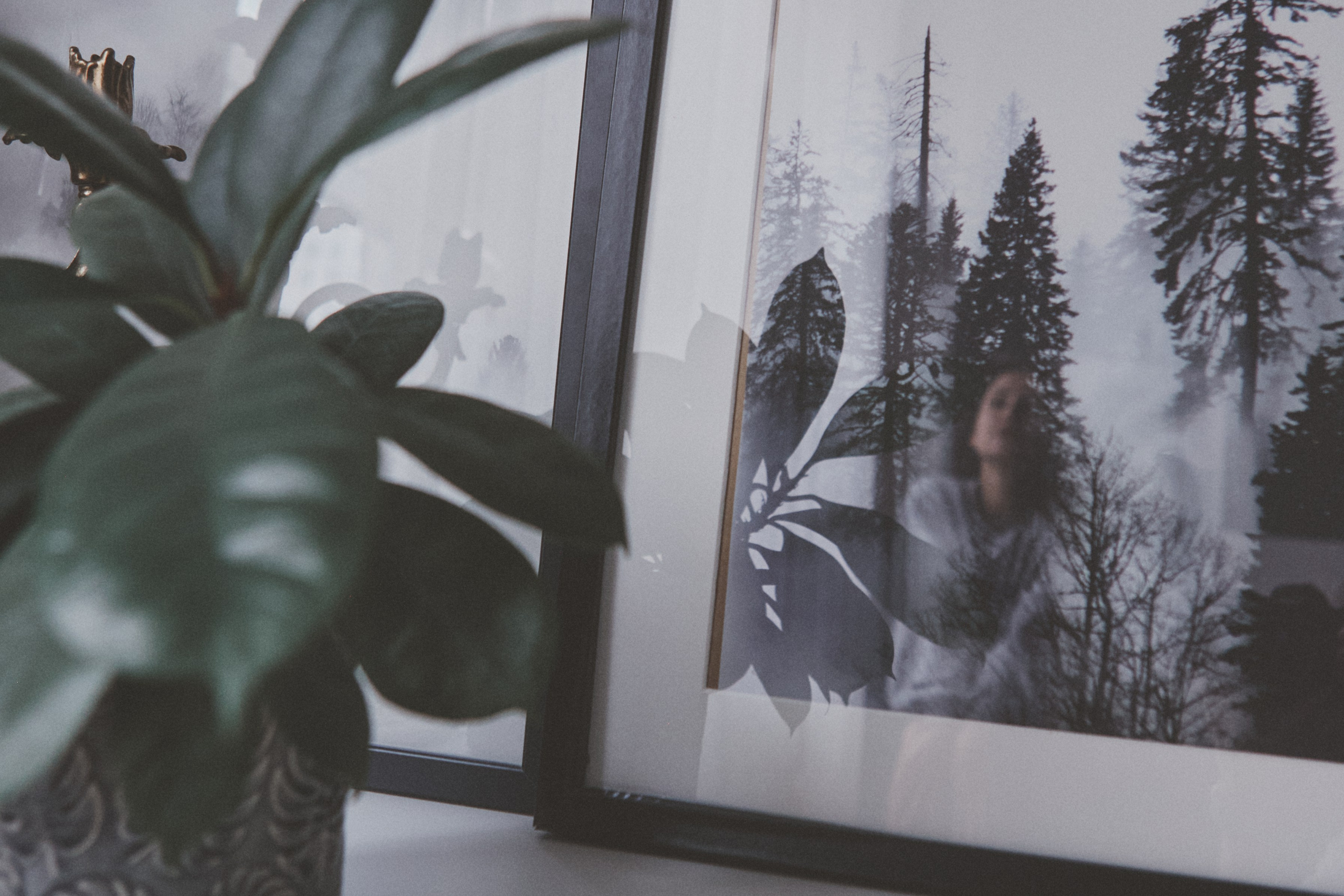 Masha. Portrait, family and pet photographer in Cyprus, Ksenia Bourdelle