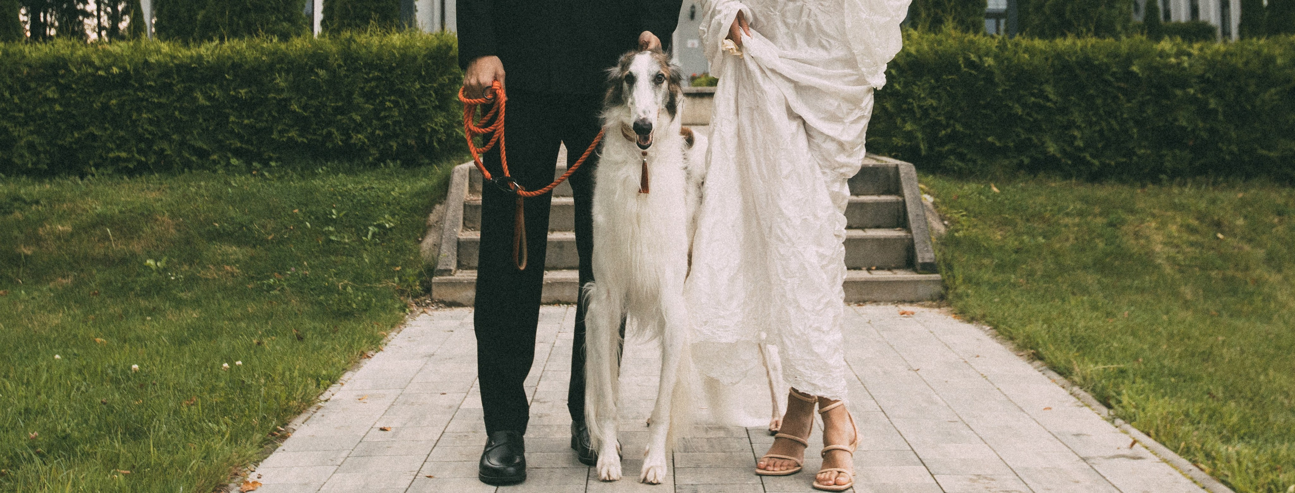 Аристократия. Нияз Саляхов фотограф Казань Татарстан