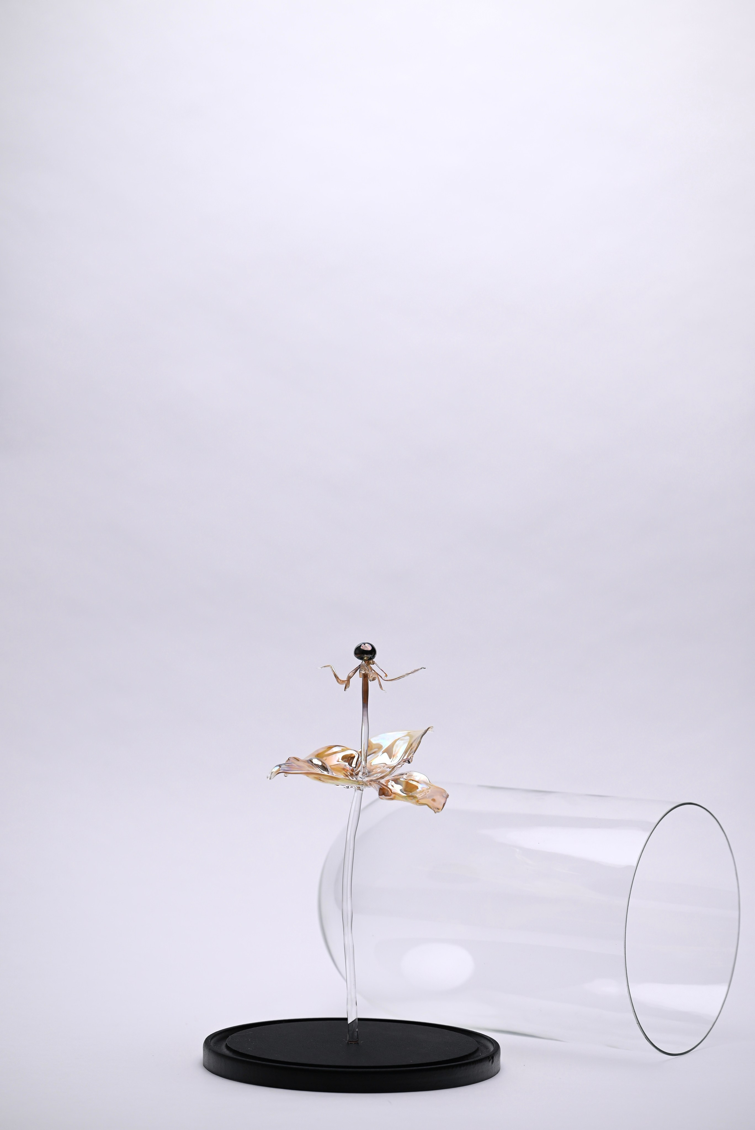 Вороний глаз. Главная