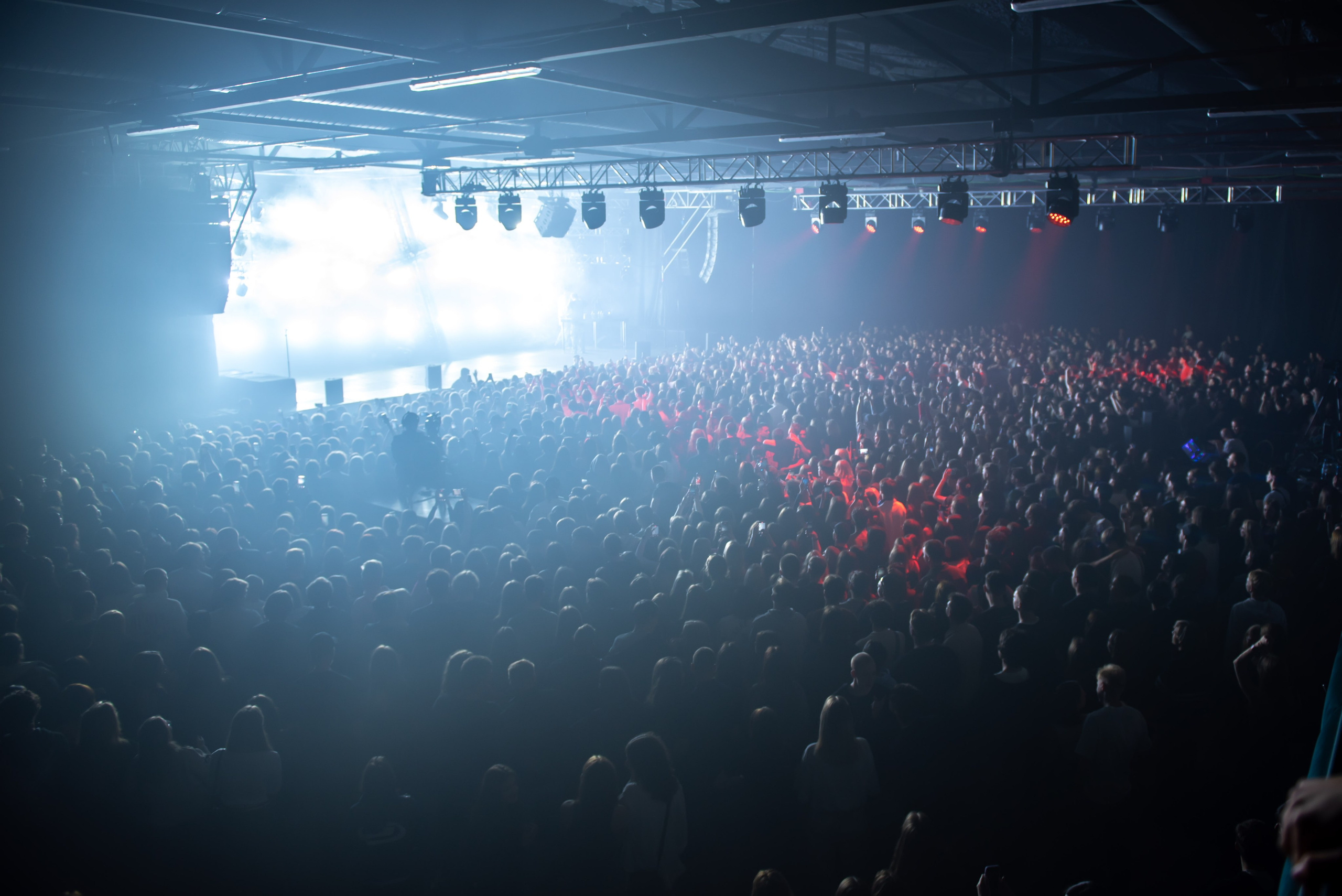 Pharaon. Royal Park. Фотограф в Калининграде Роман Большаков