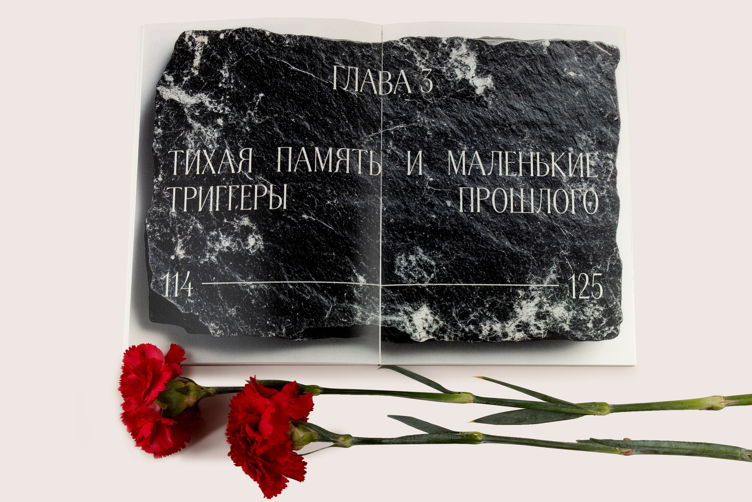 Книга. Фотограф Злата Спицына