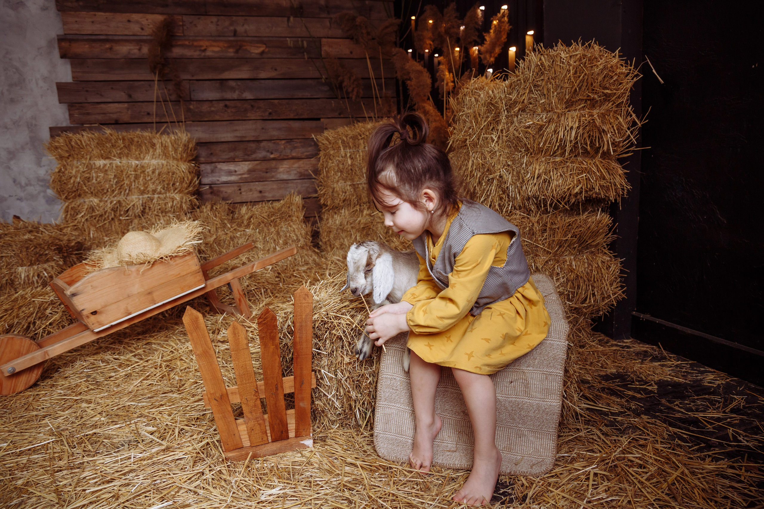 Козлик 2025. Фотограф новорожденных Тверь Диана Муляева