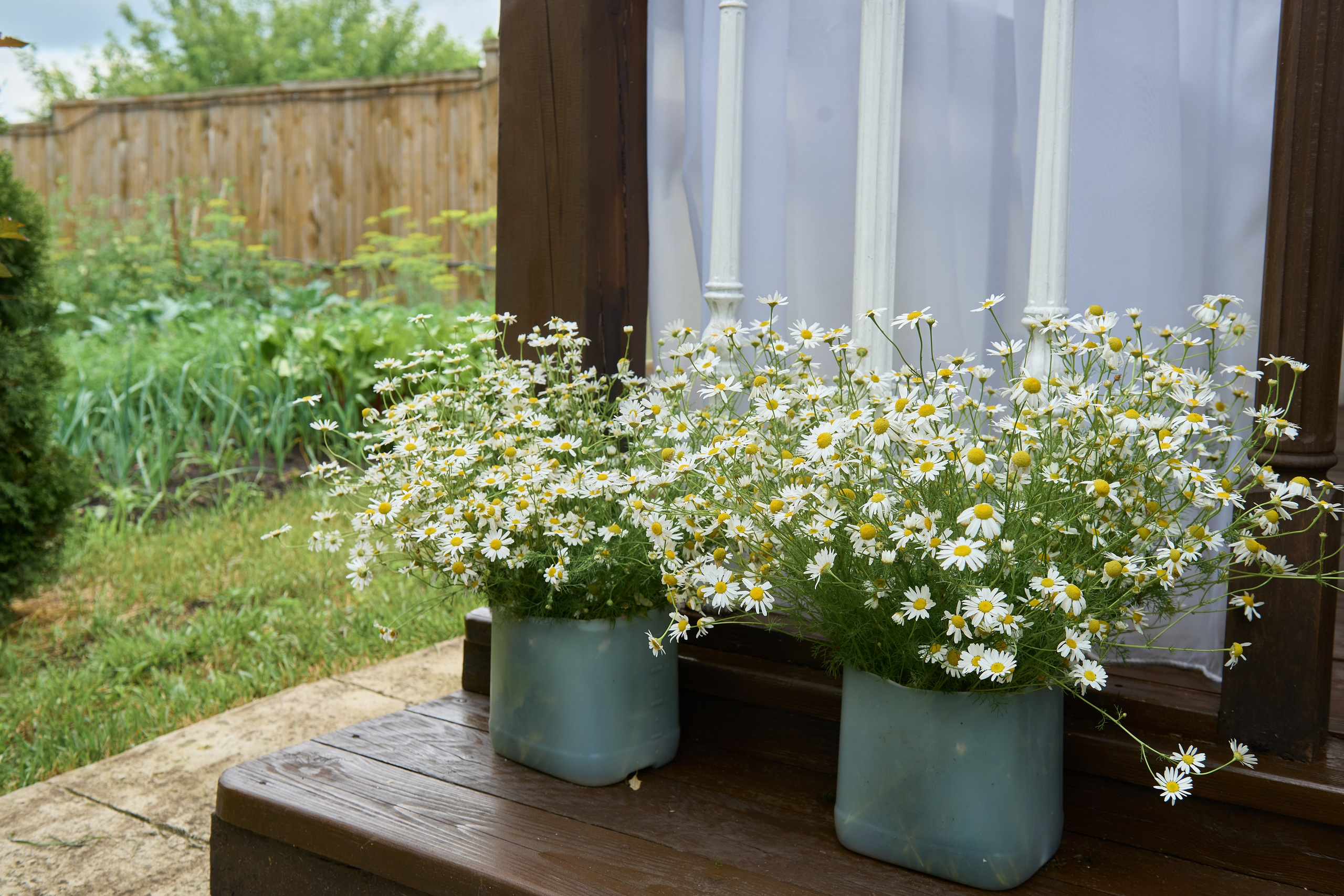Олег и Анастасия. Фотограф Евдокимов Никита. Тамбов, Москва
