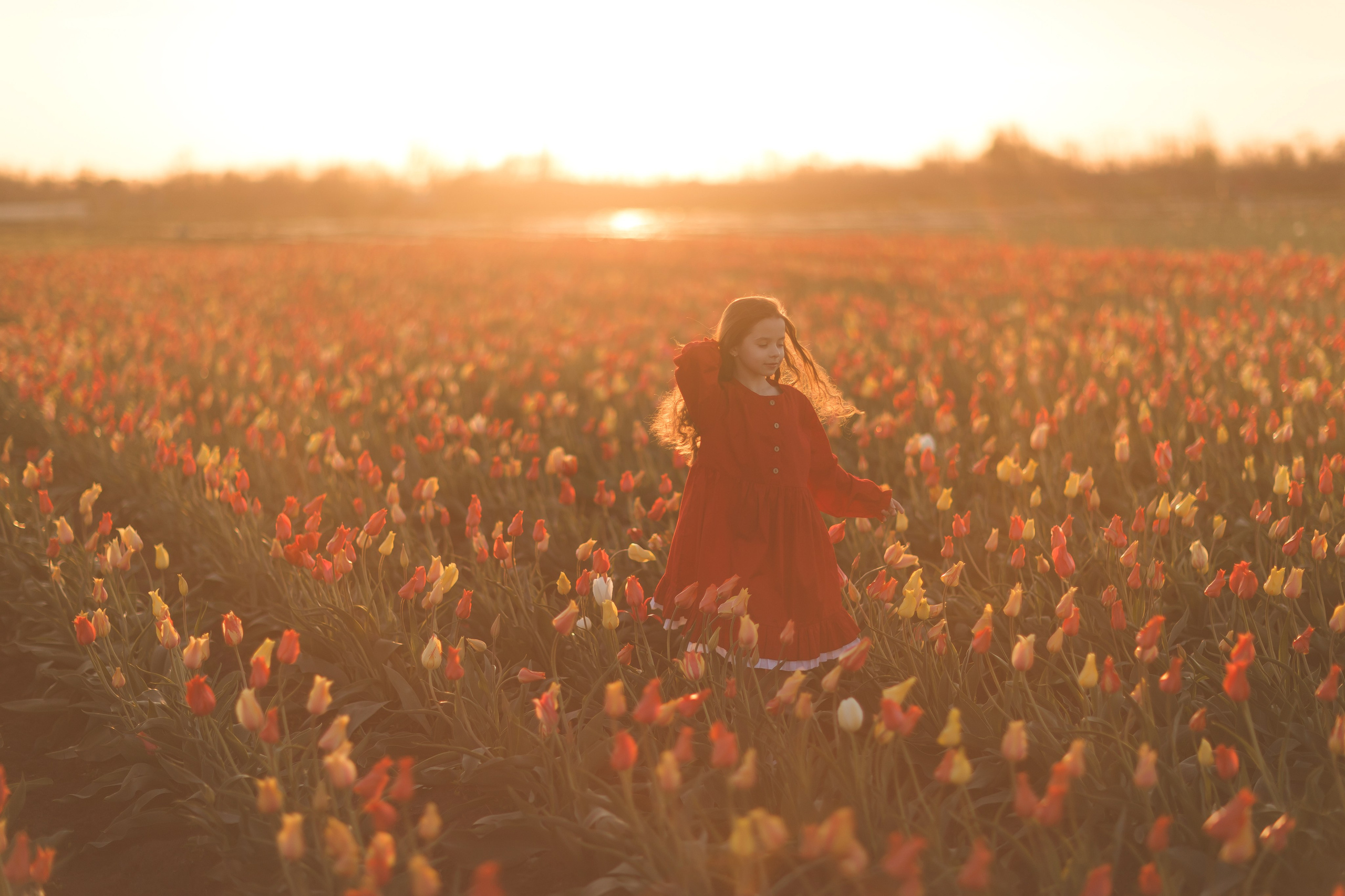 Тюльпаны. Семейный и детский фотограф Краснодар Валерия Власенко