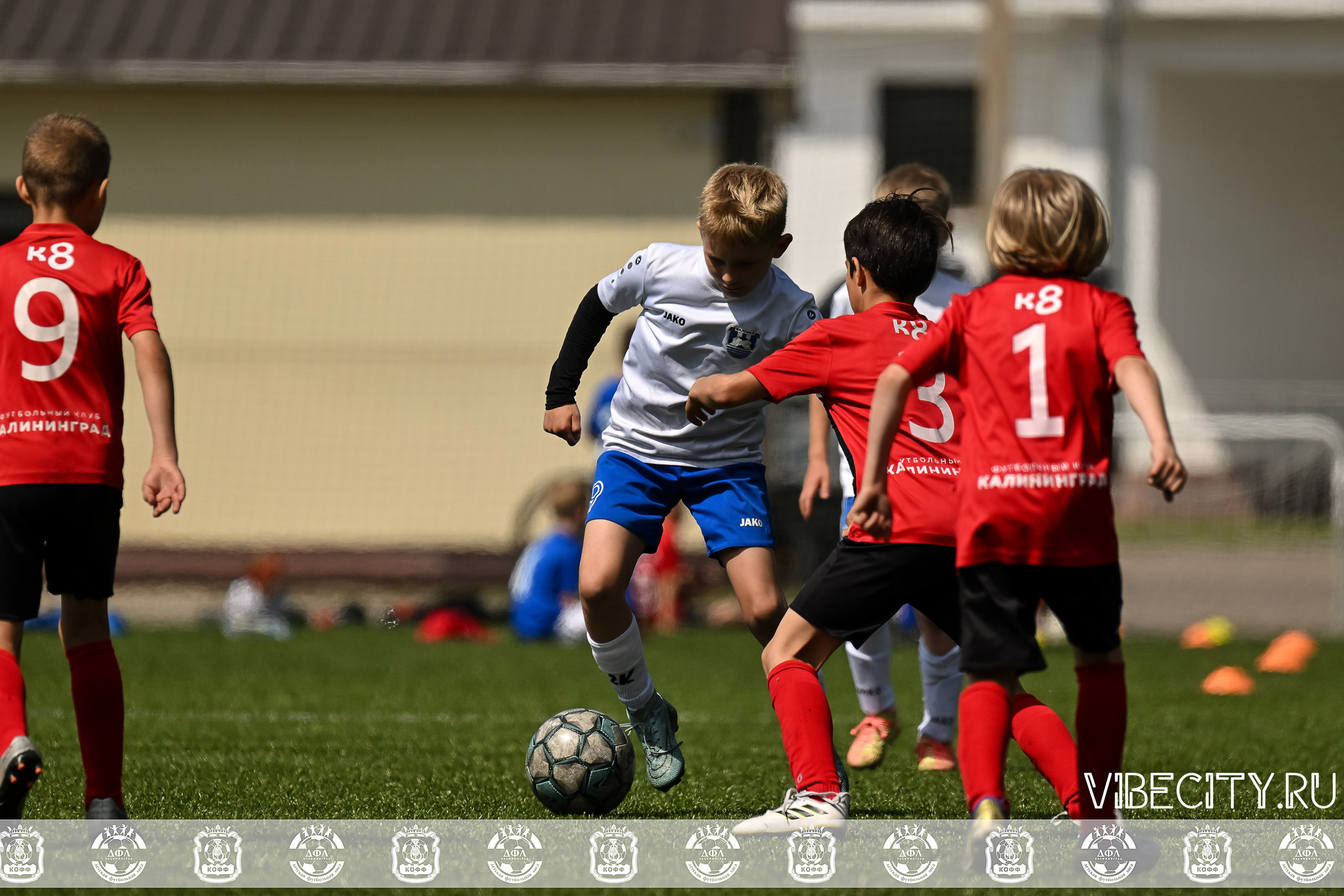 Большие Звезды светят Малым. VIBECITY.RU Вайб Сити Ру Фоторепортажи Фотоотчеты Калининград