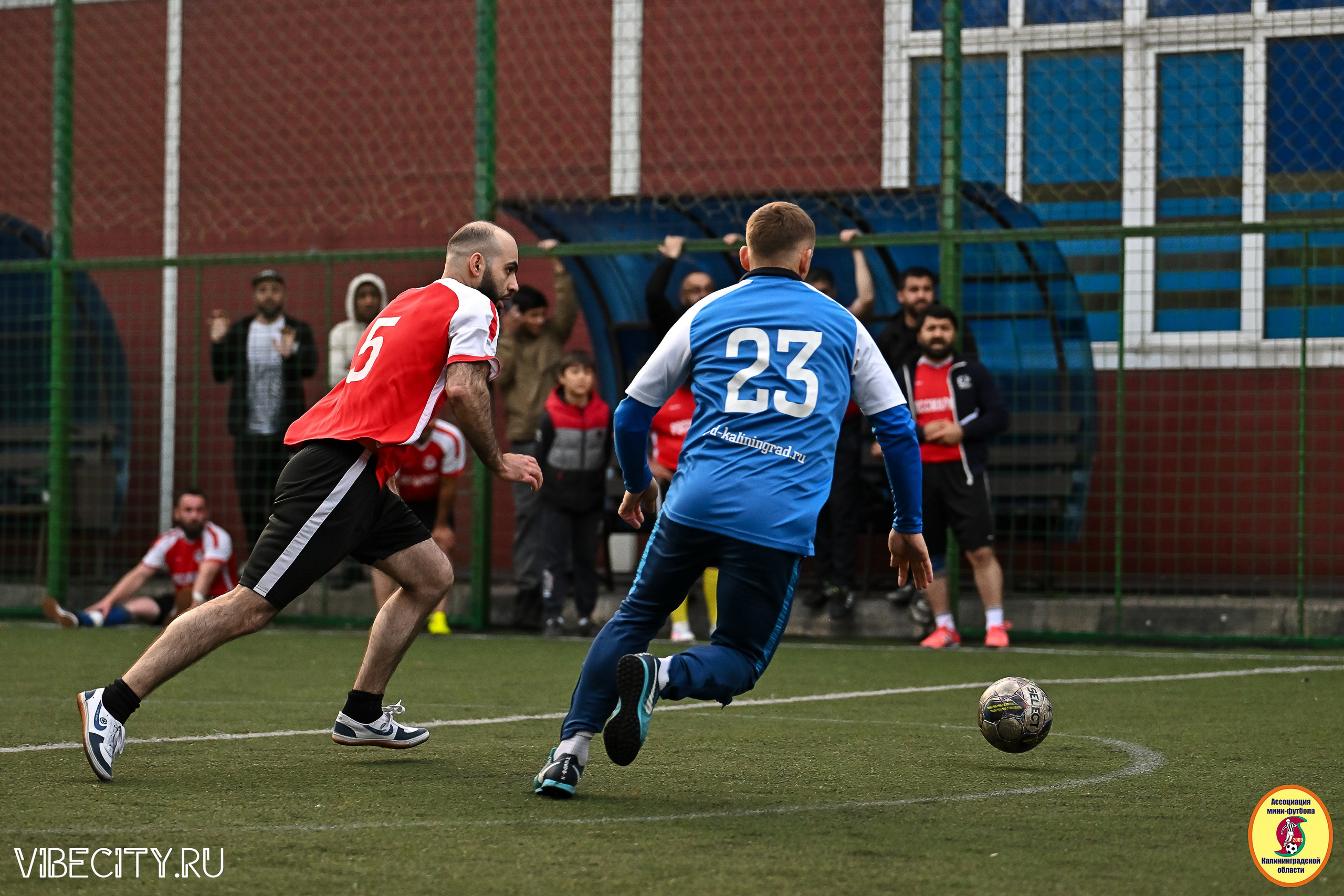 ИГРЫ МИНИ-ФУТБОЛЬНОЙ И КОРПОРАТИВНОЙ ЛИГИ. VIBECITY.RU Вайб Сити Ру Фоторепортажи Фотоотчеты Калининград
