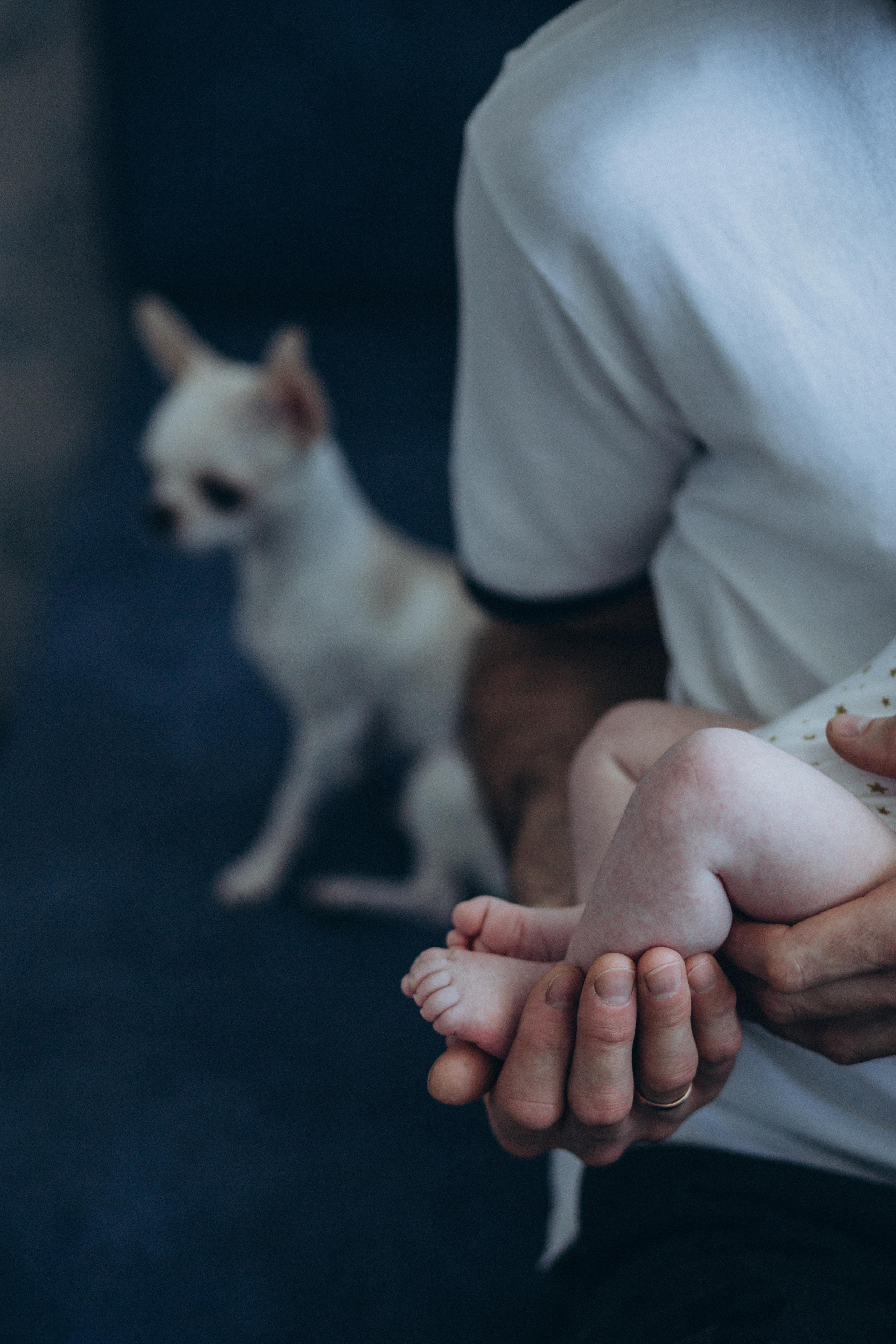 Дмитрий, Марина, Ярослав, Сергей. Семейный и детский фотограф в Севастополе