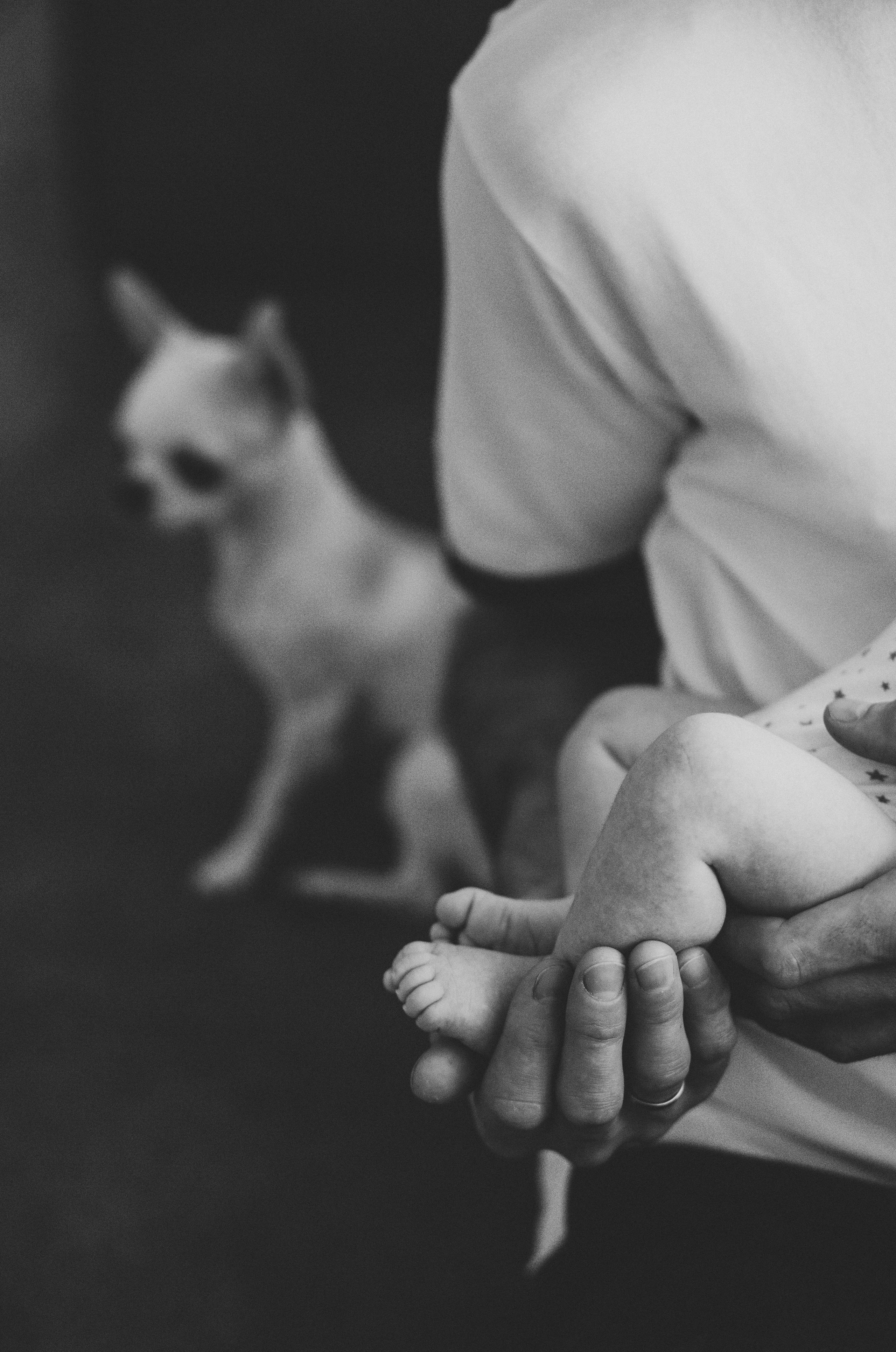 Дмитрий, Марина, Ярослав, Сергей. Семейный и детский фотограф в Севастополе