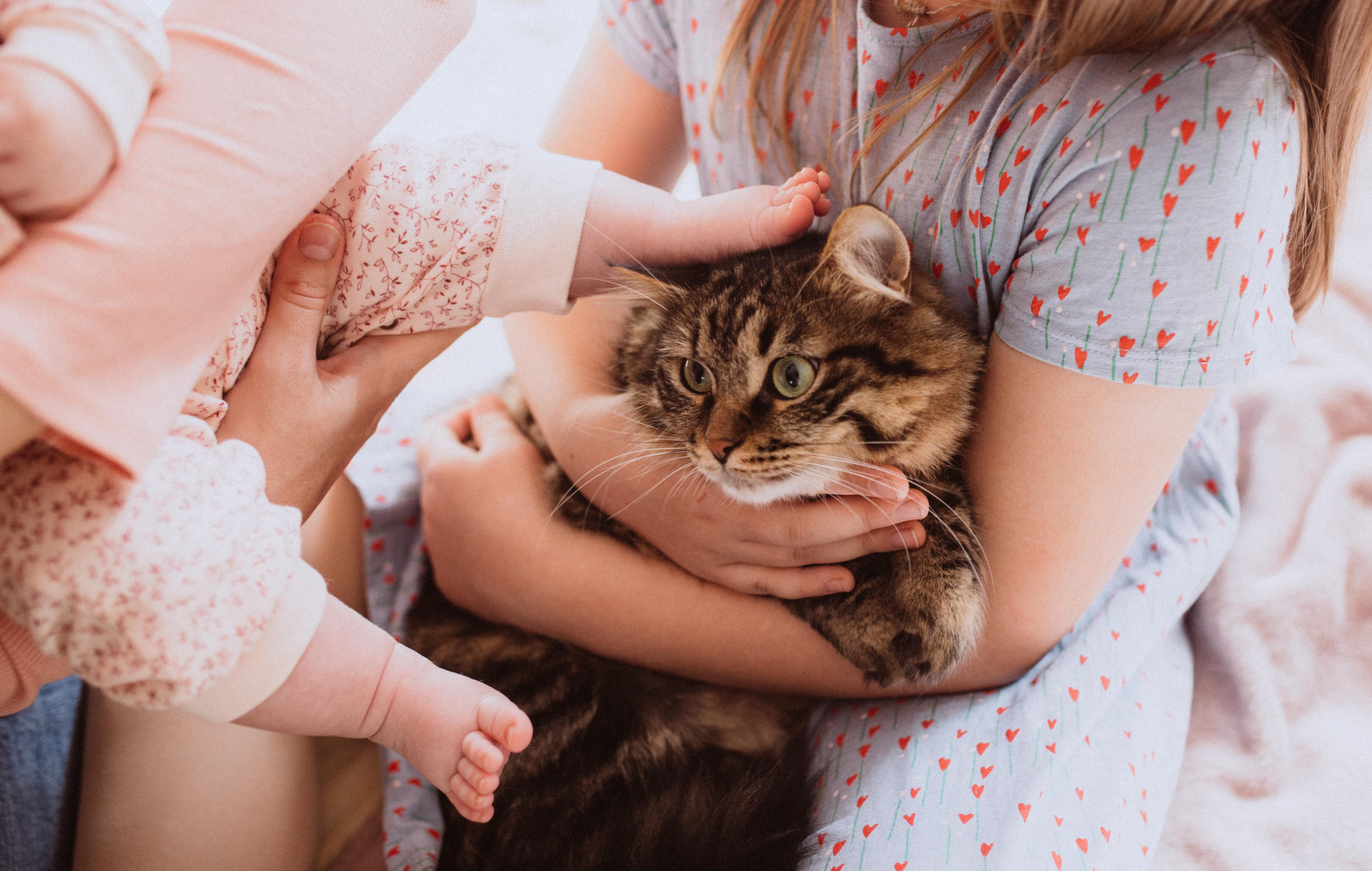 Вячеслав, Татьяна, девочки. Семейный и детский фотограф в Севастополе