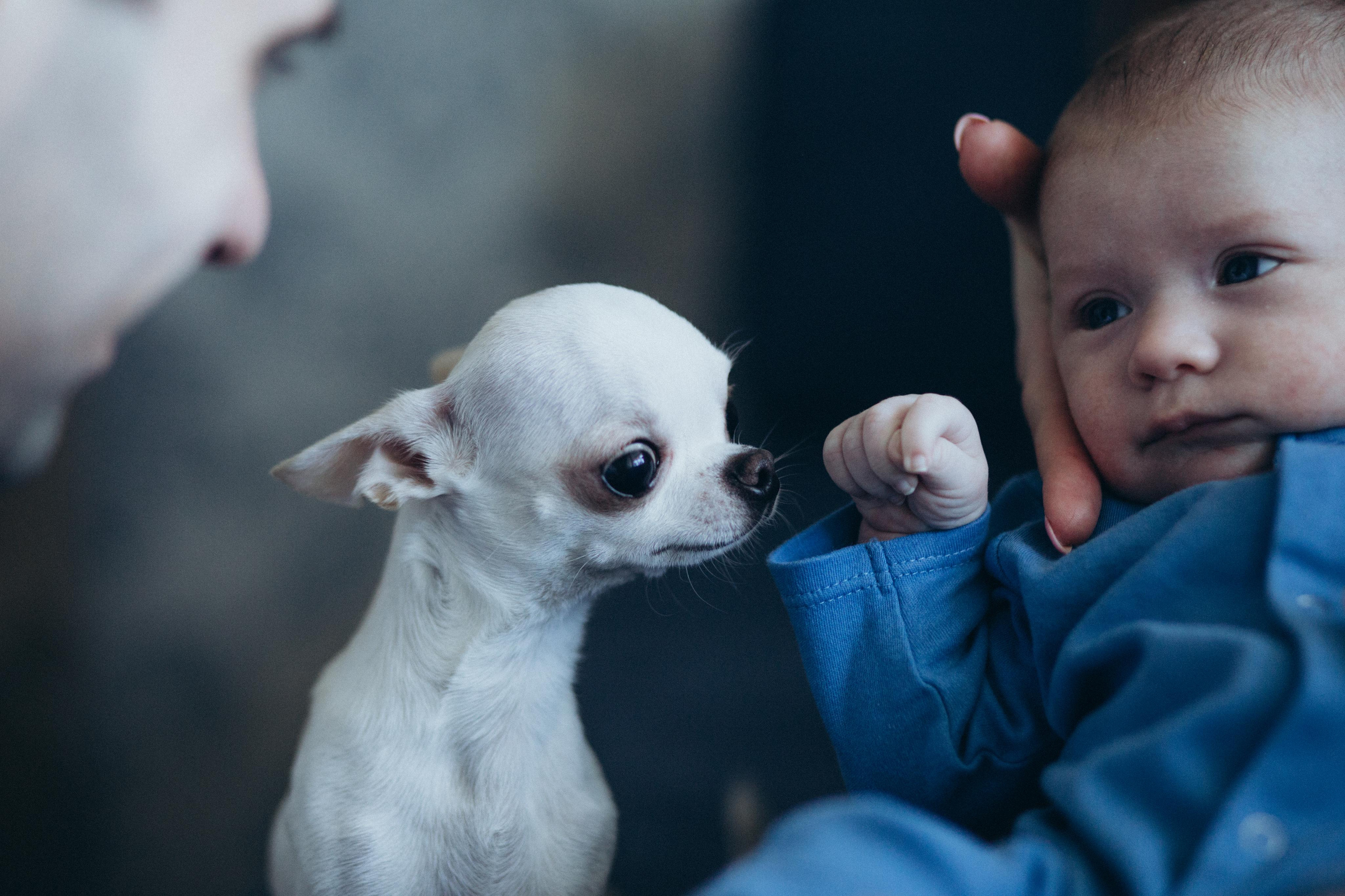 Дмитрий, Марина, Ярослав, Сергей. Семейный и детский фотограф в Севастополе