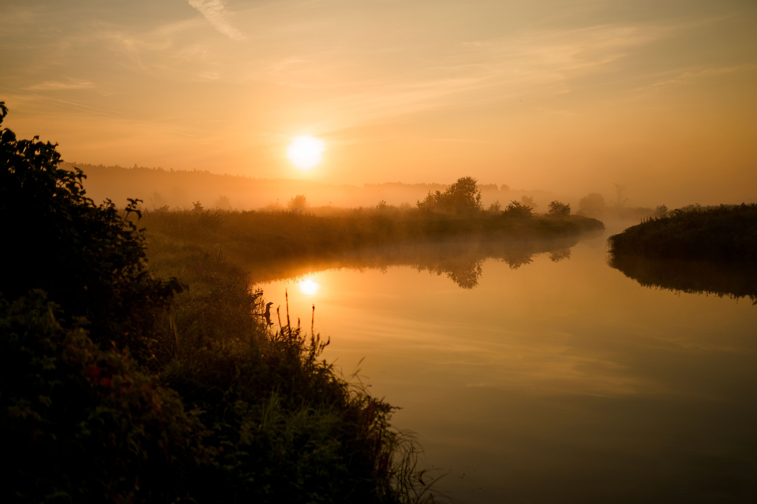ЦВЕТНЫЕ ФОТОГРАФИИ. Никита Аничкин фото и видео оператор из России