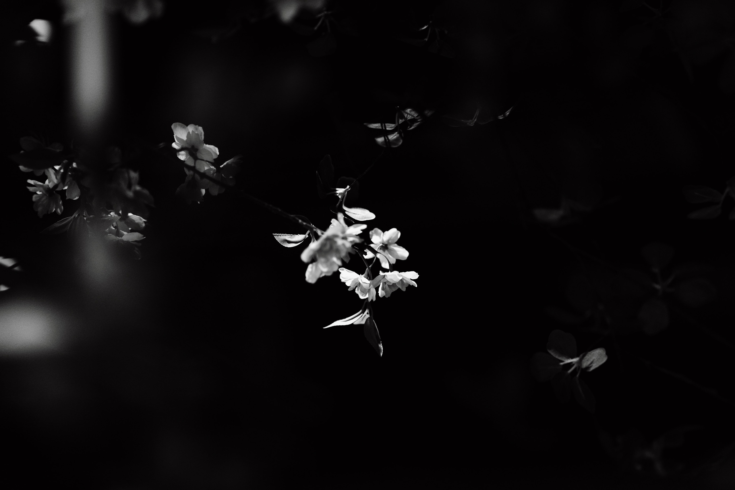 Арт-резиденция Доминанта. Свадебный и репортажный фотограф Юров Дмитрий