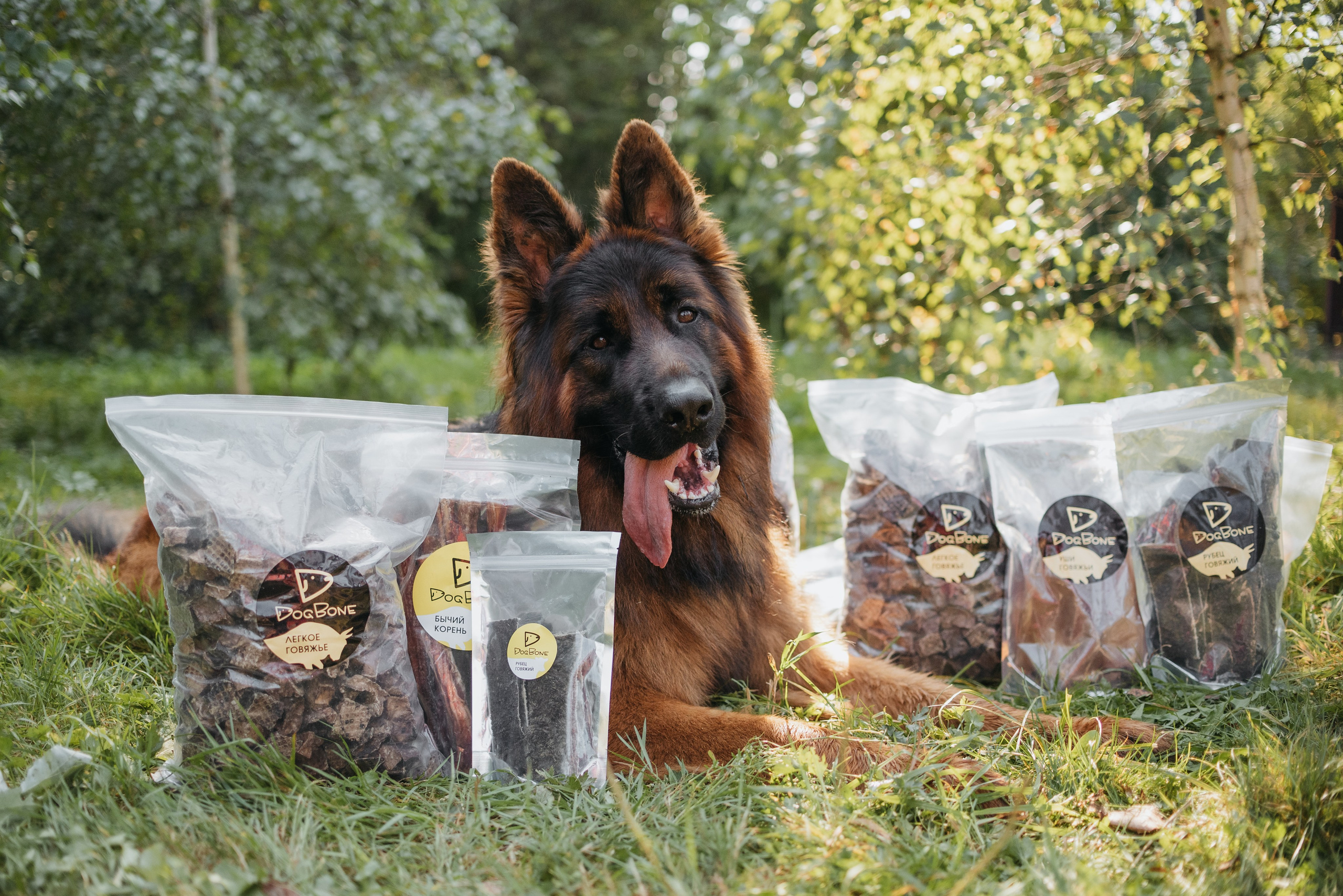 Dog Bone контент. Фотограф-анималист Валерия, Москва, Мытищи