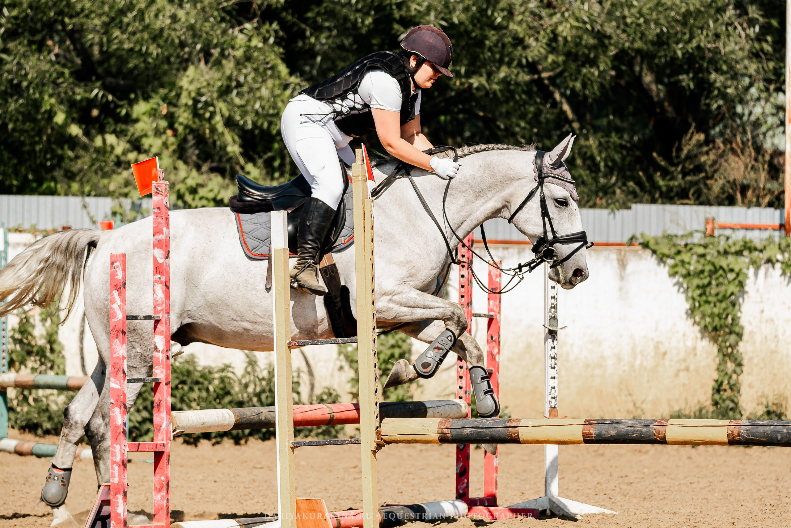 КОНКУР в КСК «Black Horse», 3 этап. Конный фотограф Куракина Дарья • Фотосессии с лошадьми