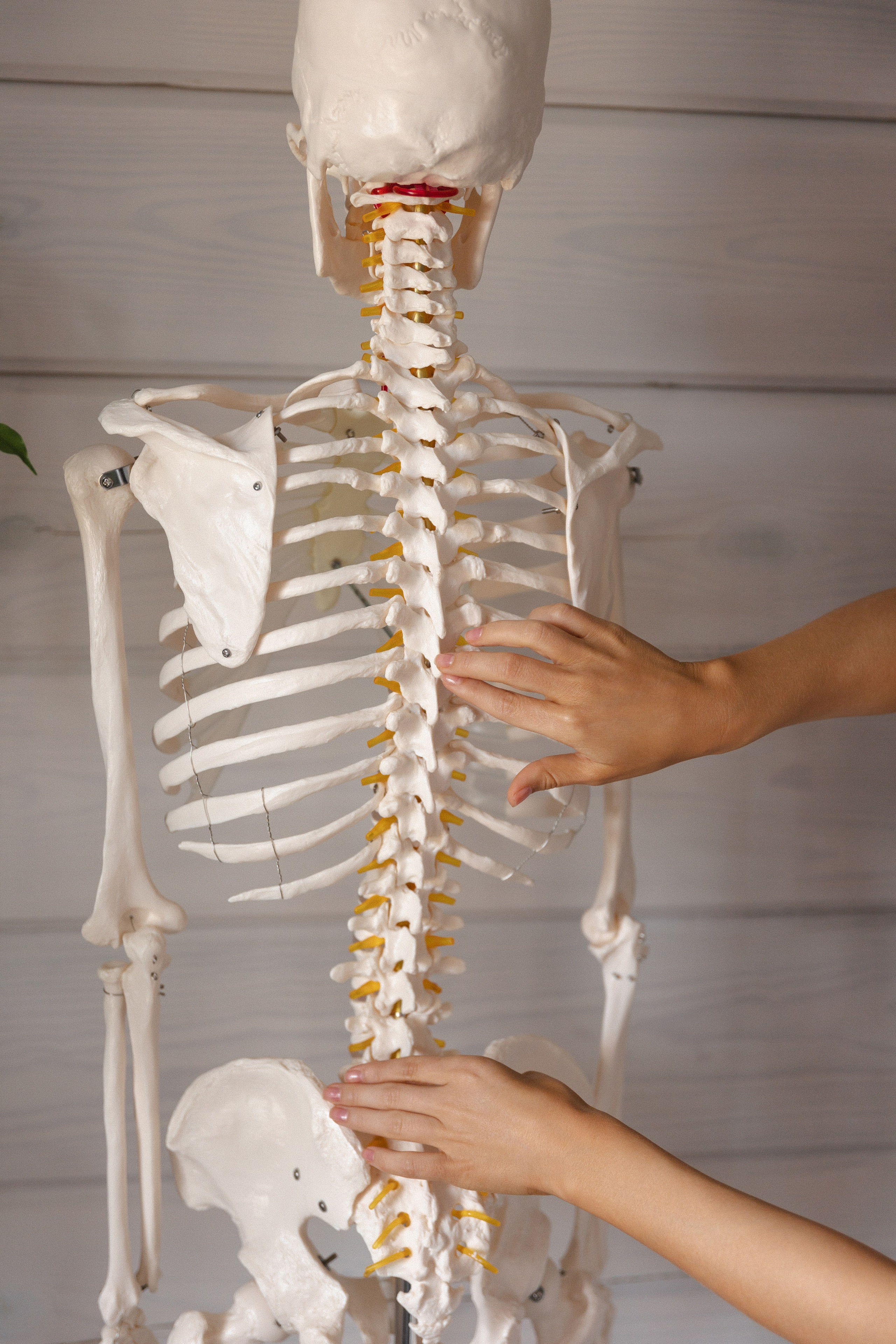 TEAM//Кинезиологи Московского института. Фотограф Тюмень Пушковская Кристина