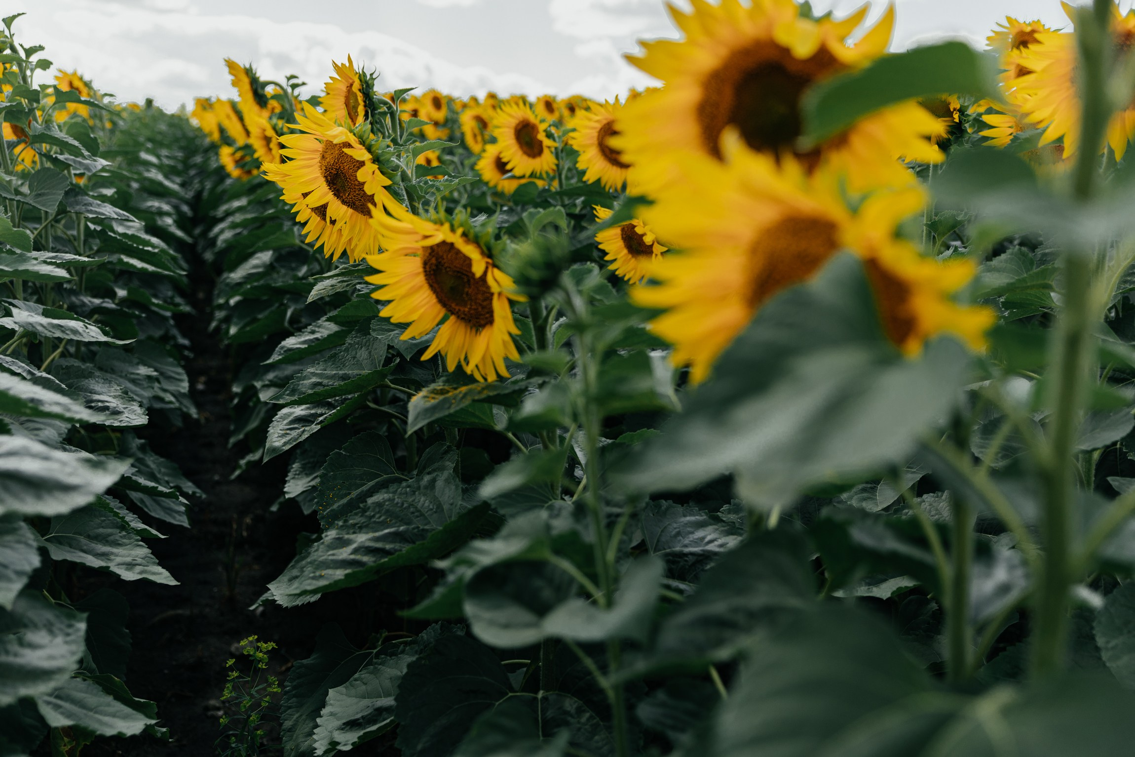Вячеслав & Анжела