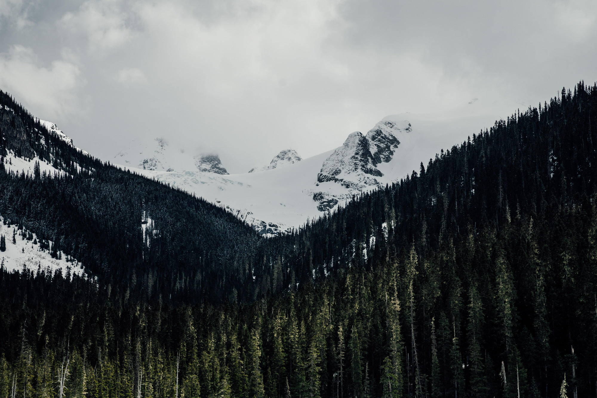 Nature. AnatoliiVolf