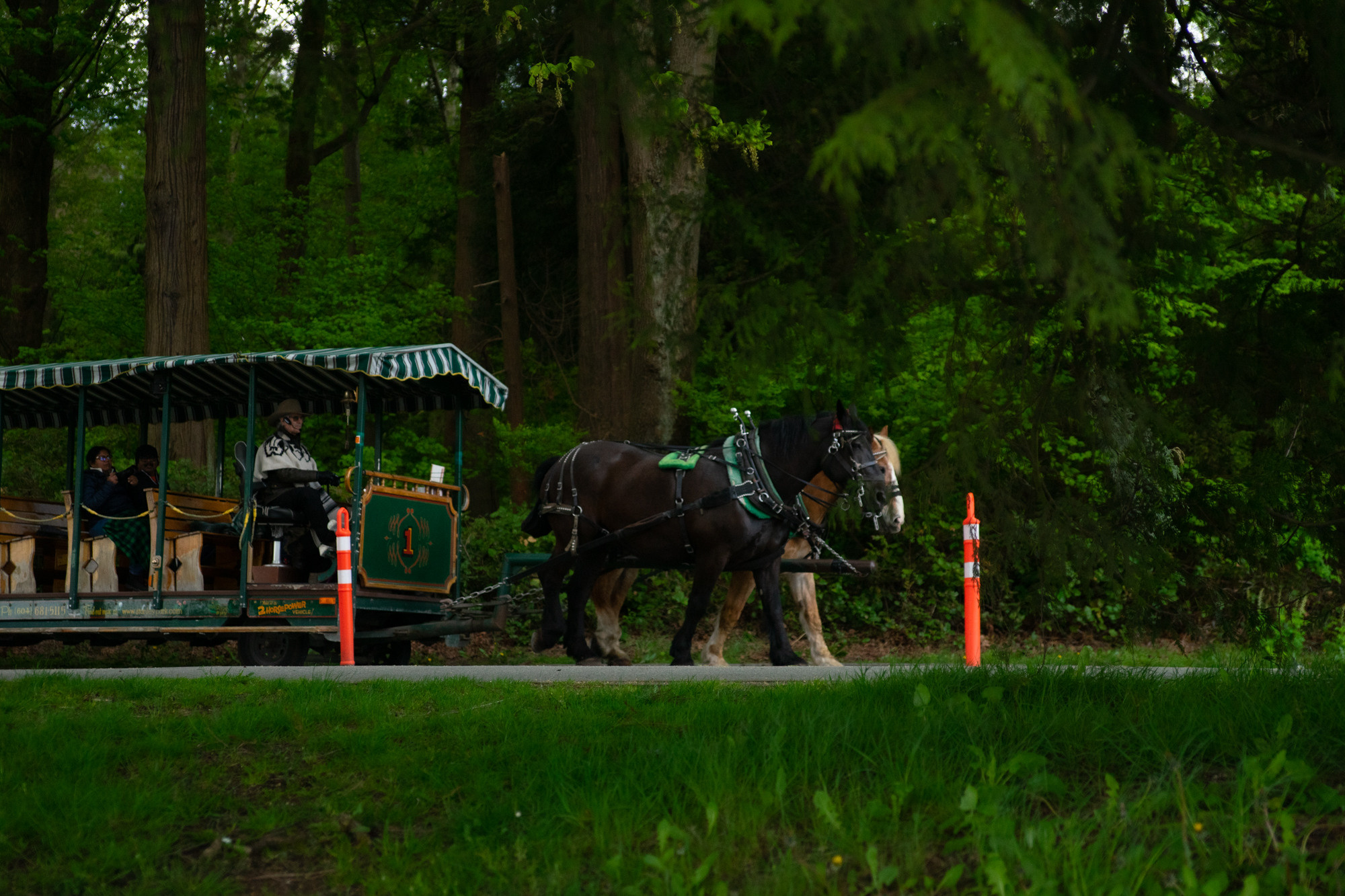 Nature. AnatoliiVolf