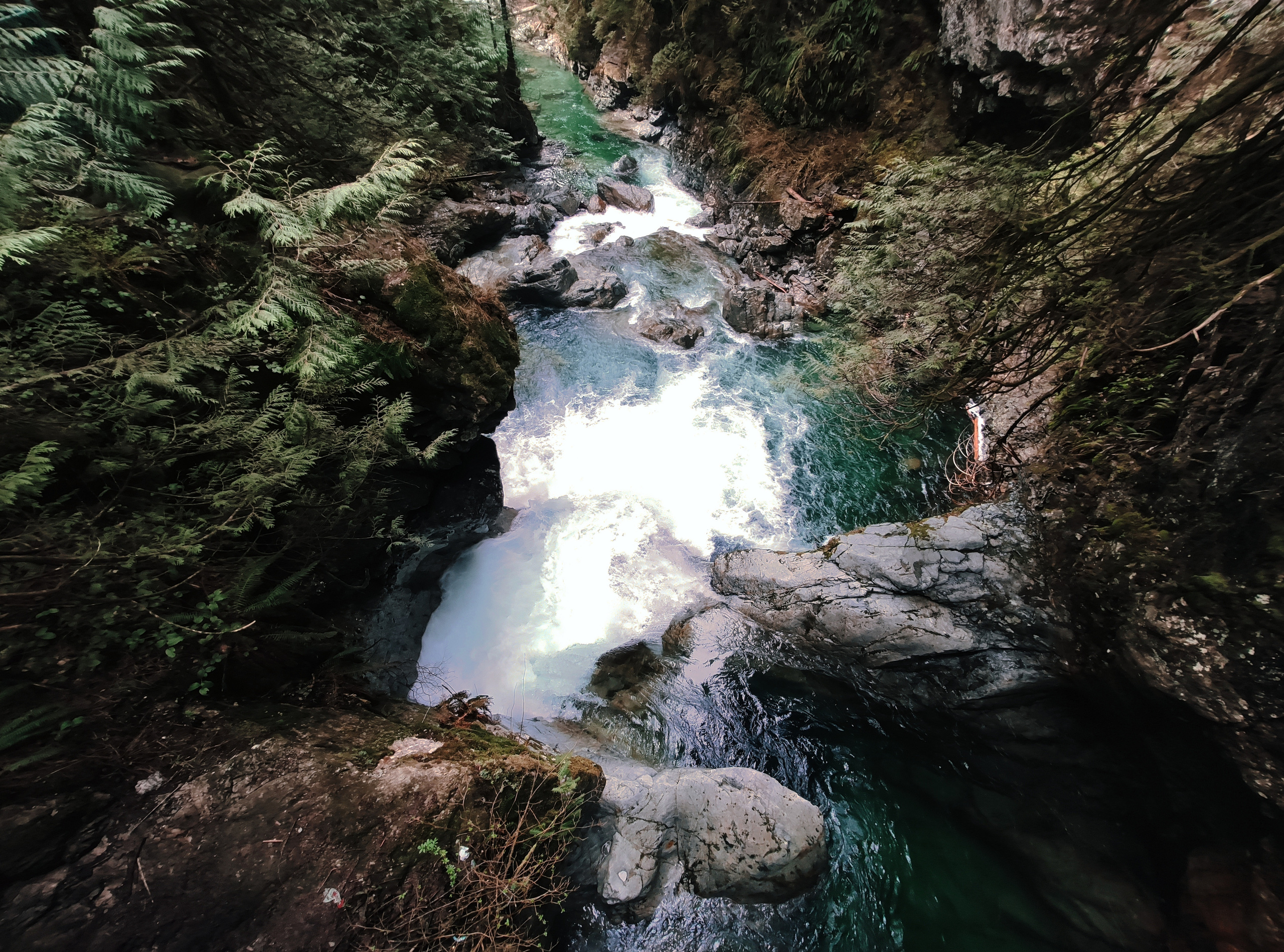 Nature. AnatoliiVolf