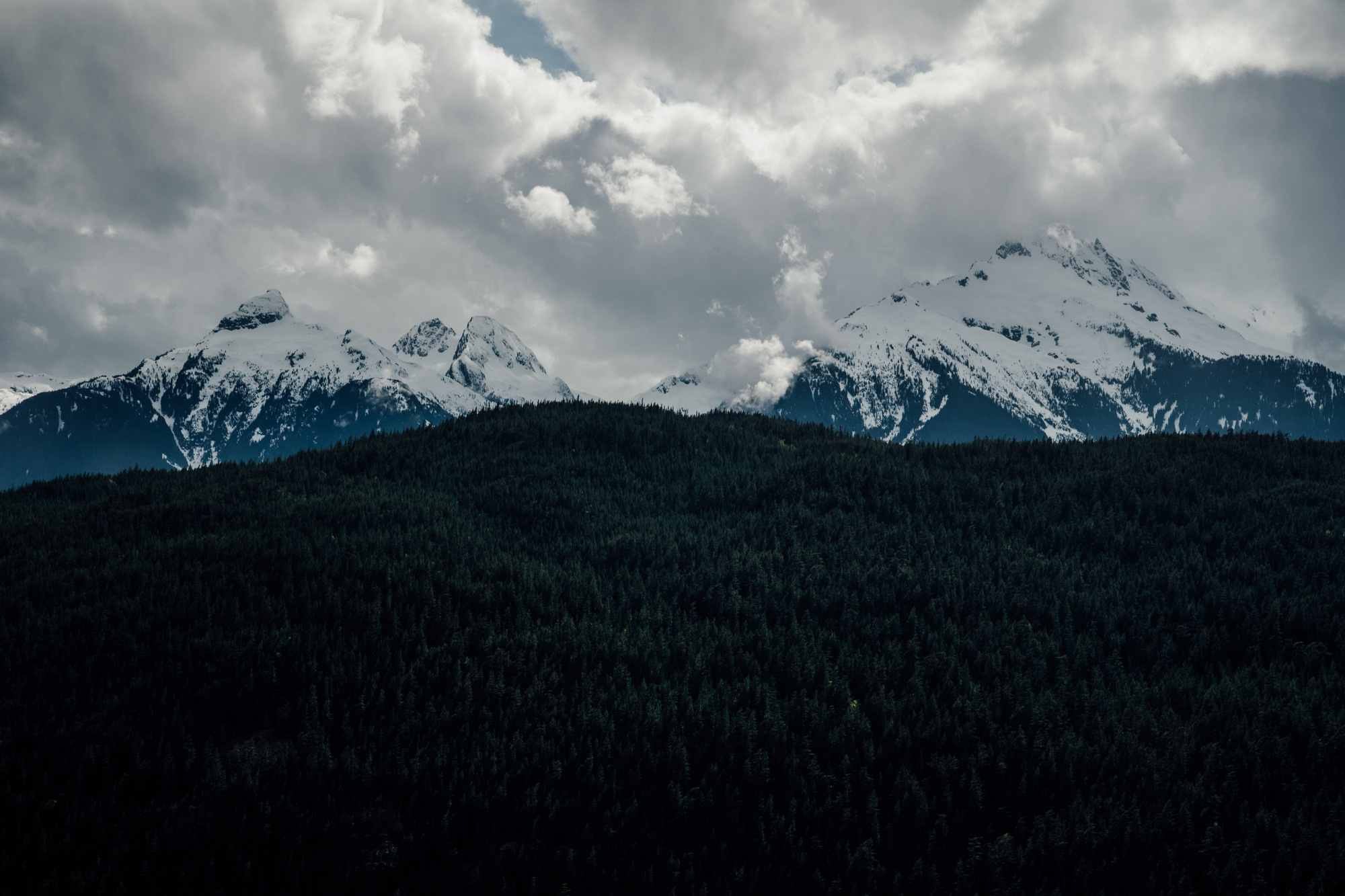 Nature. AnatoliiVolf