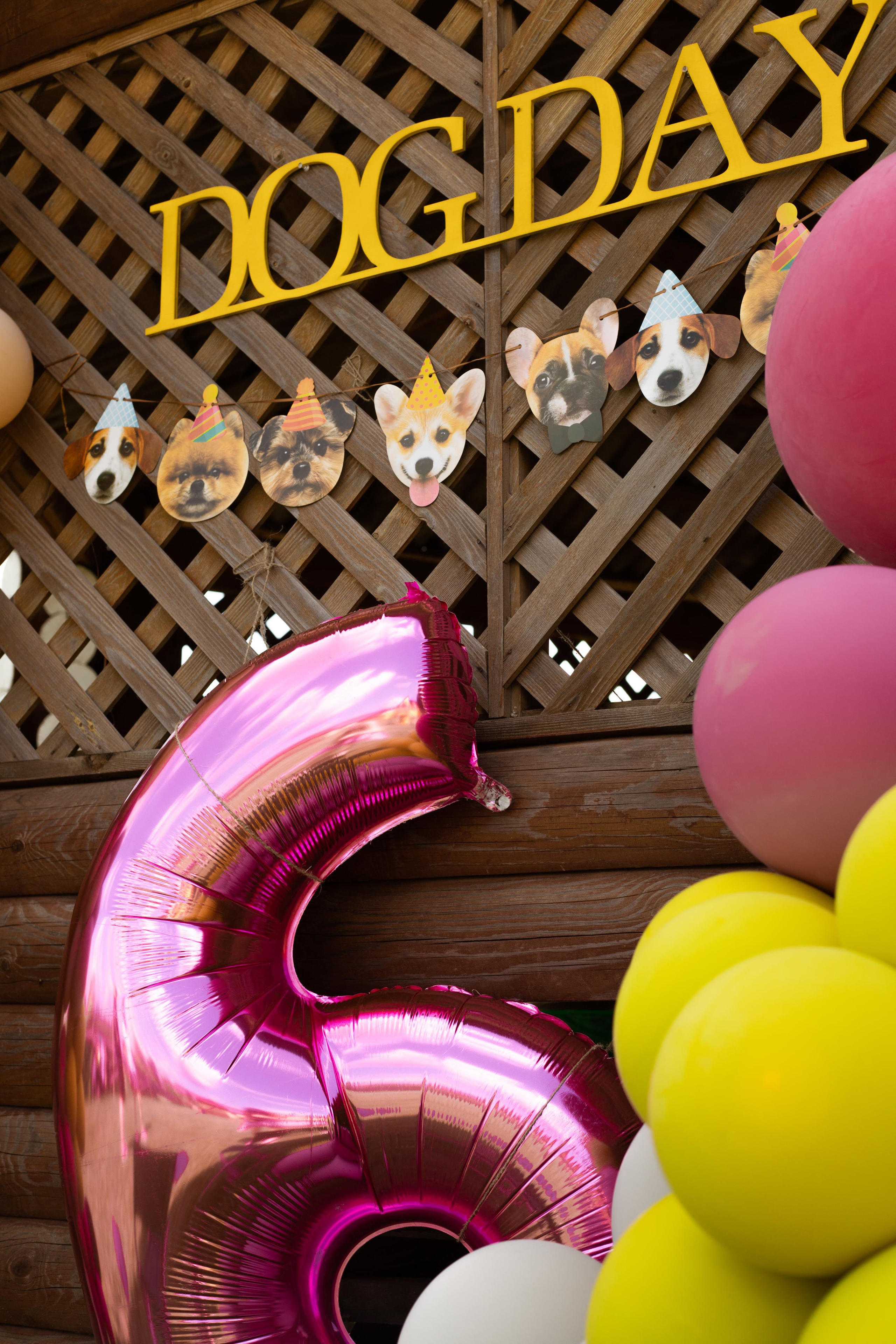 Репортажная фотосъёмка мероприятий. Атмосферная фотосъёмка в Омске!