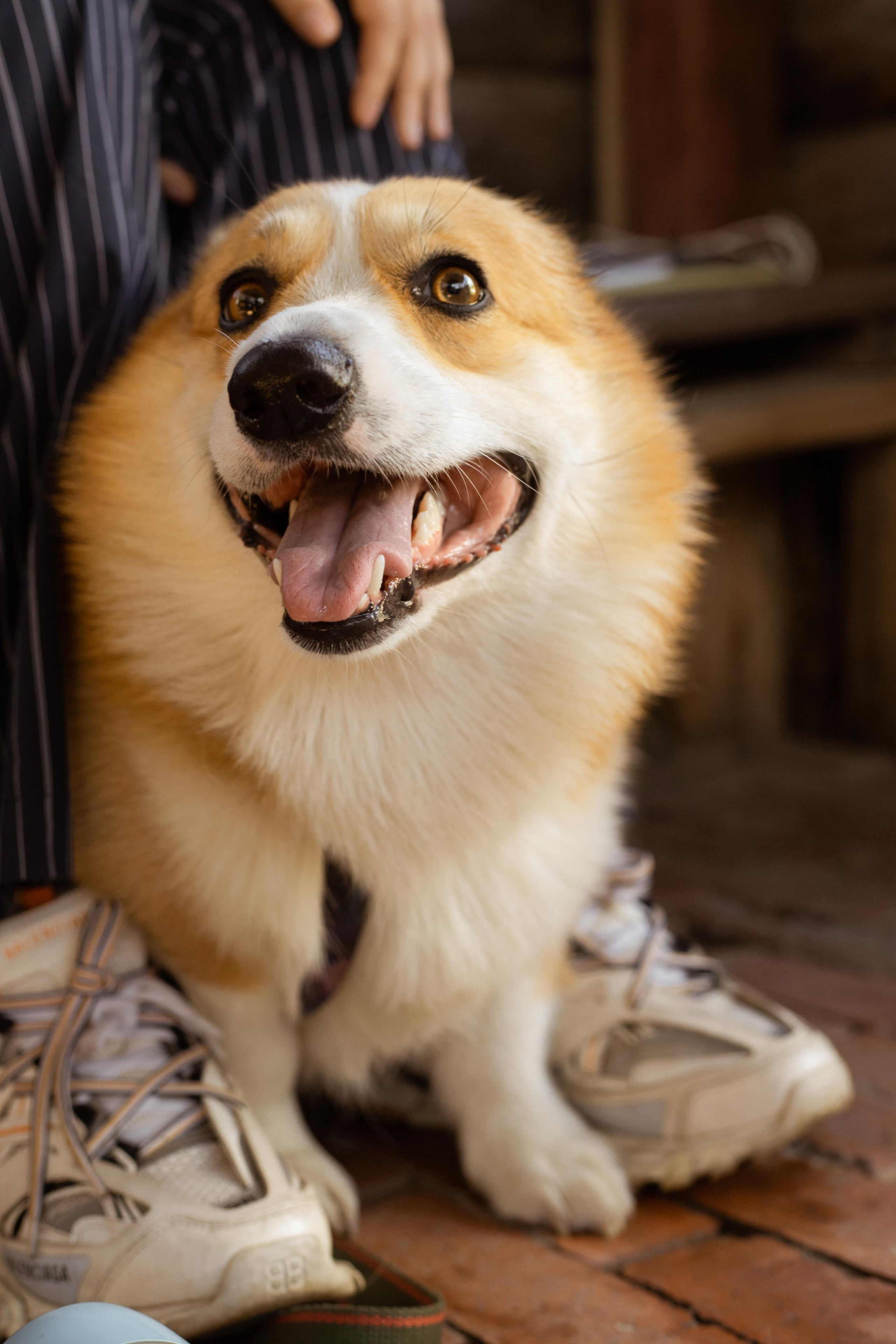 Репортажная фотосъёмка мероприятий. Атмосферная фотосъёмка в Омске!