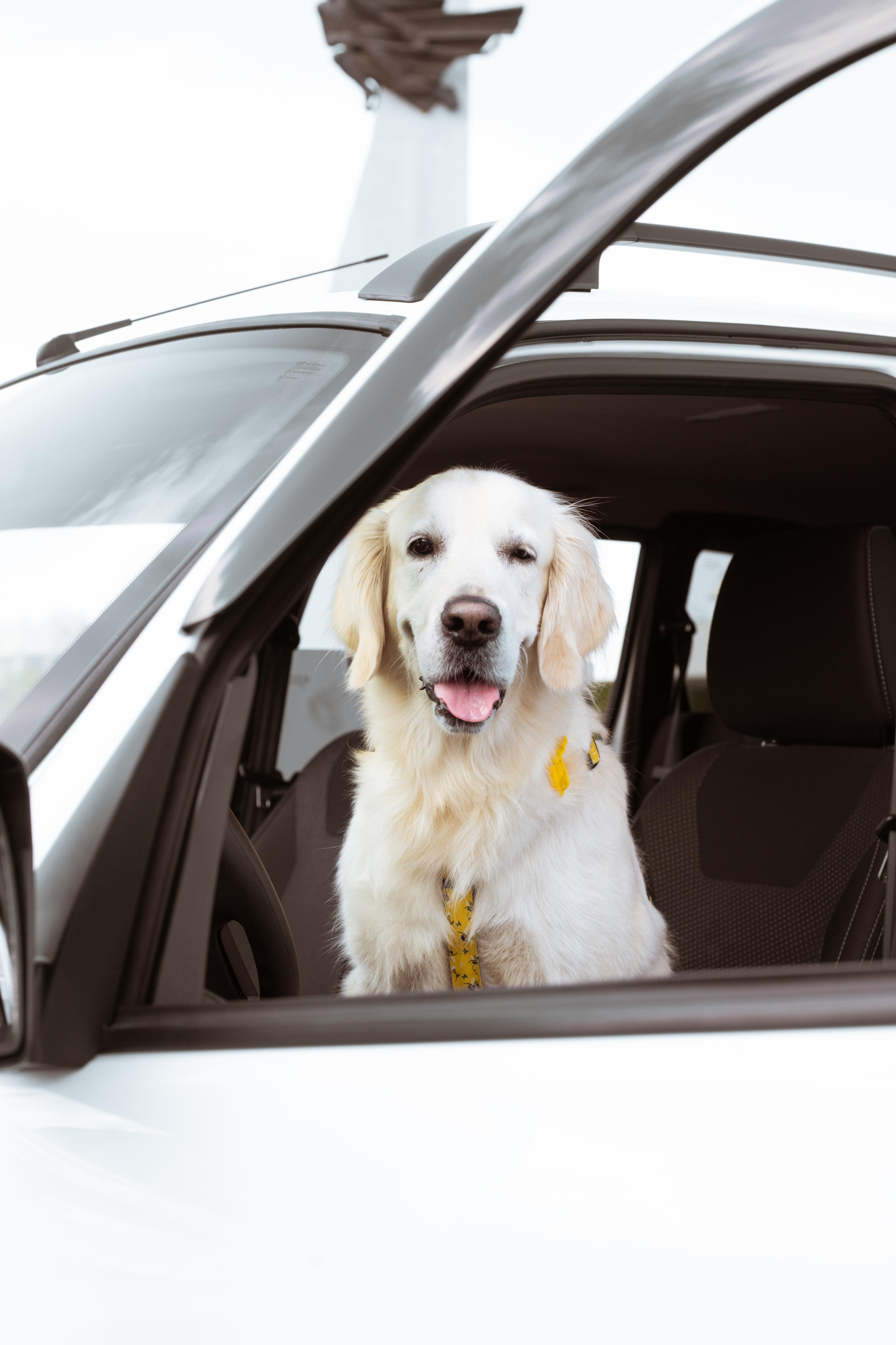 Семейная фотосъёмка. Атмосферная фотосъёмка в Омске!