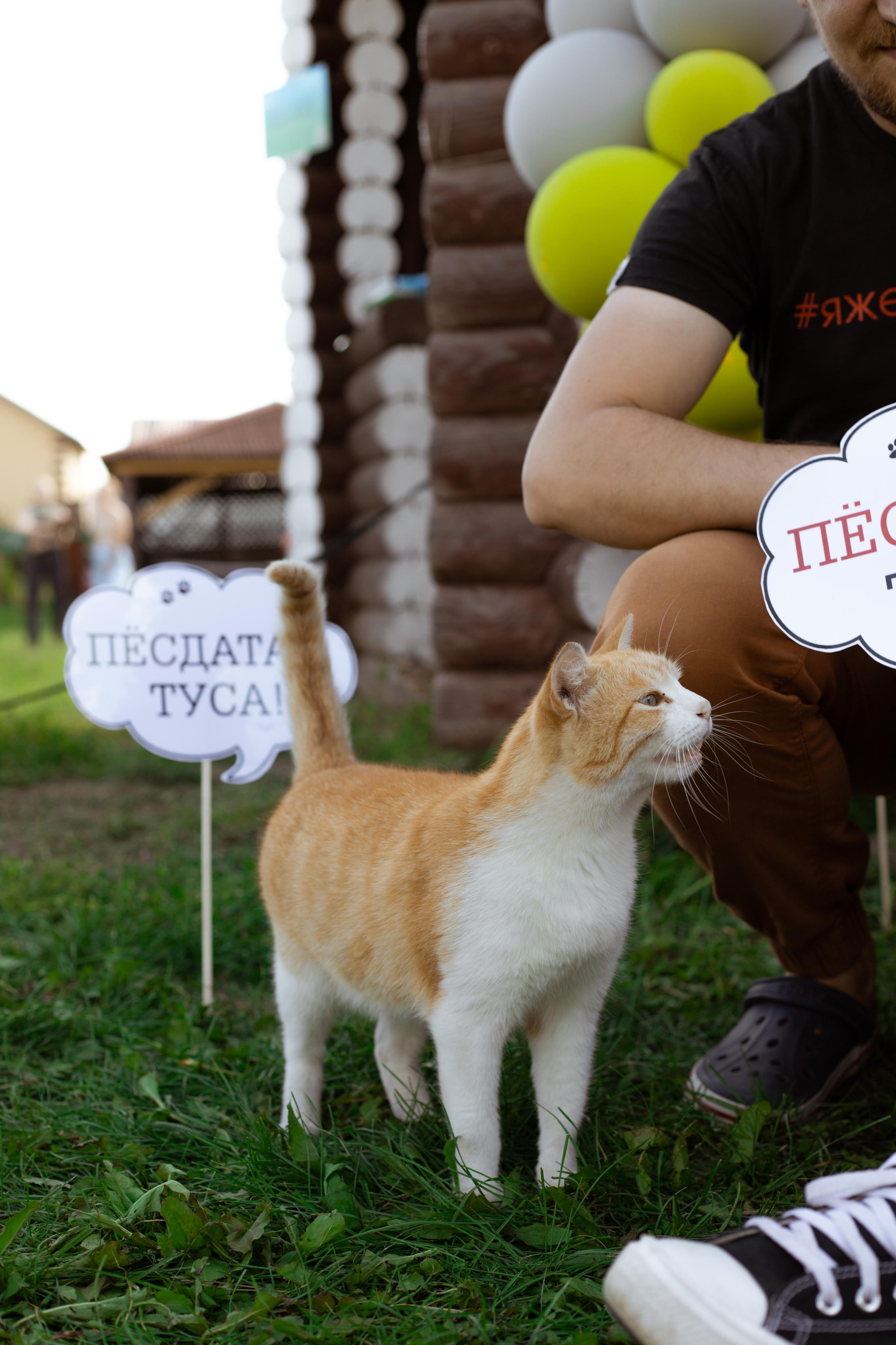 Репортажная фотосъёмка мероприятий. Атмосферная фотосъёмка в Омске!