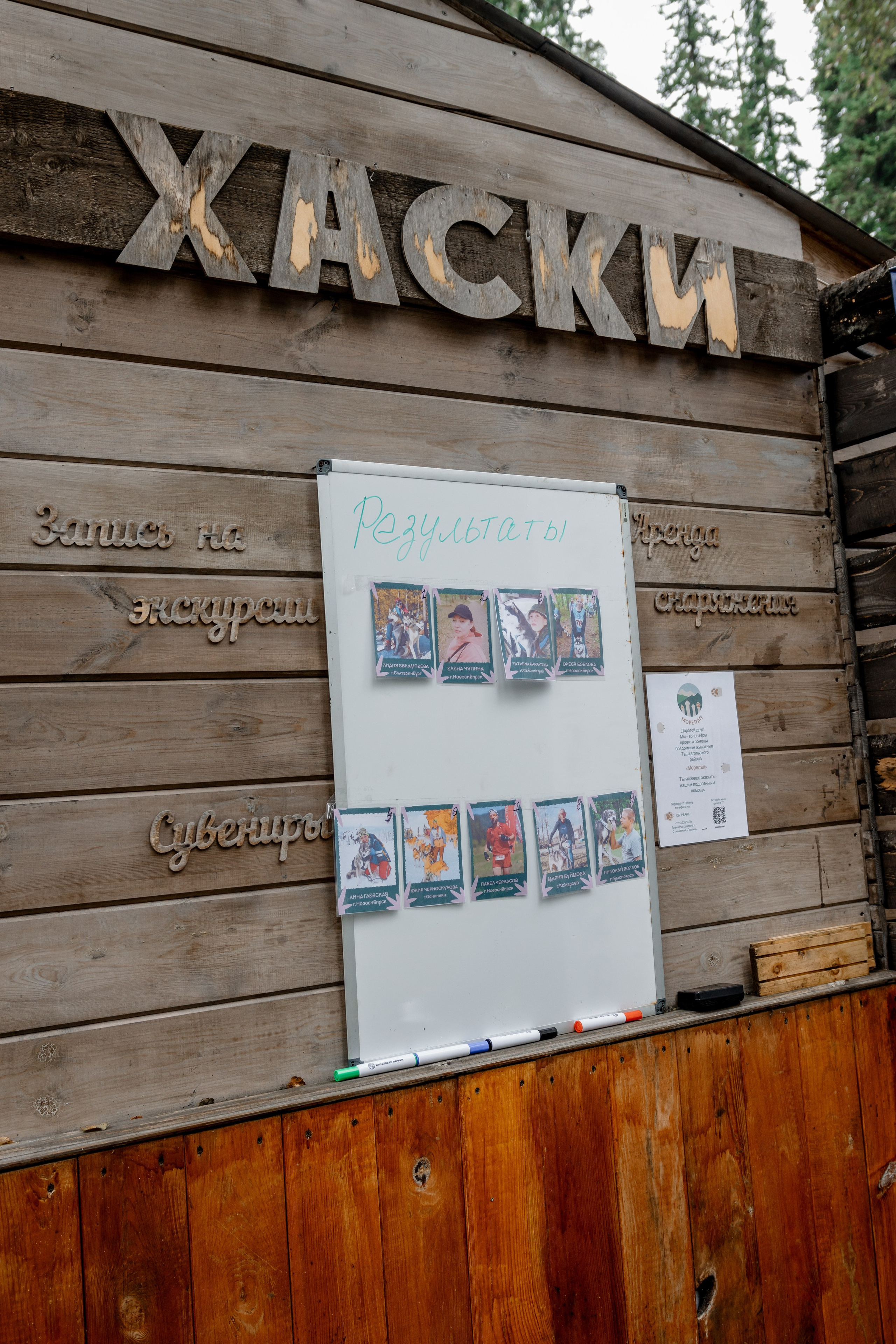 Дог-треккинг