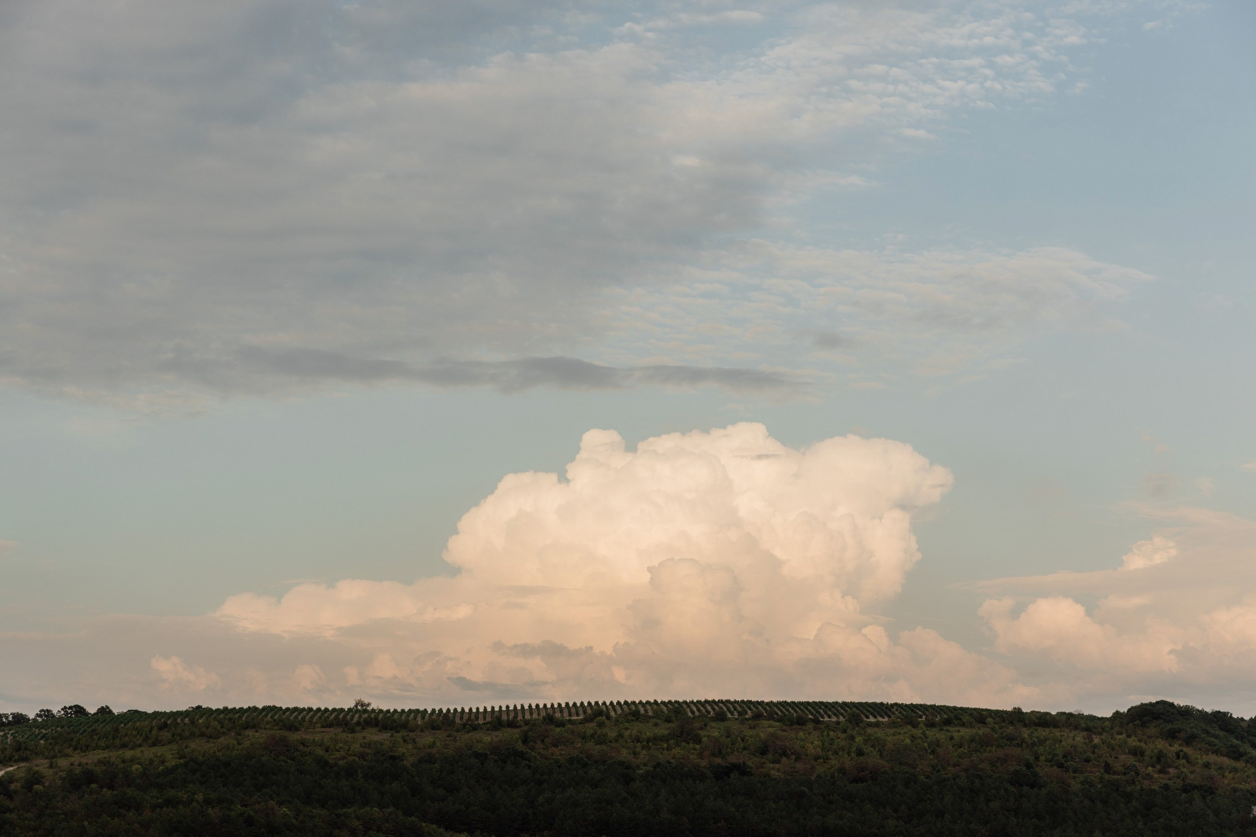 Неометрия. Свадебный и репортажный фотограф Новороссийск Краснодар Сочи Крым Данила Данилов