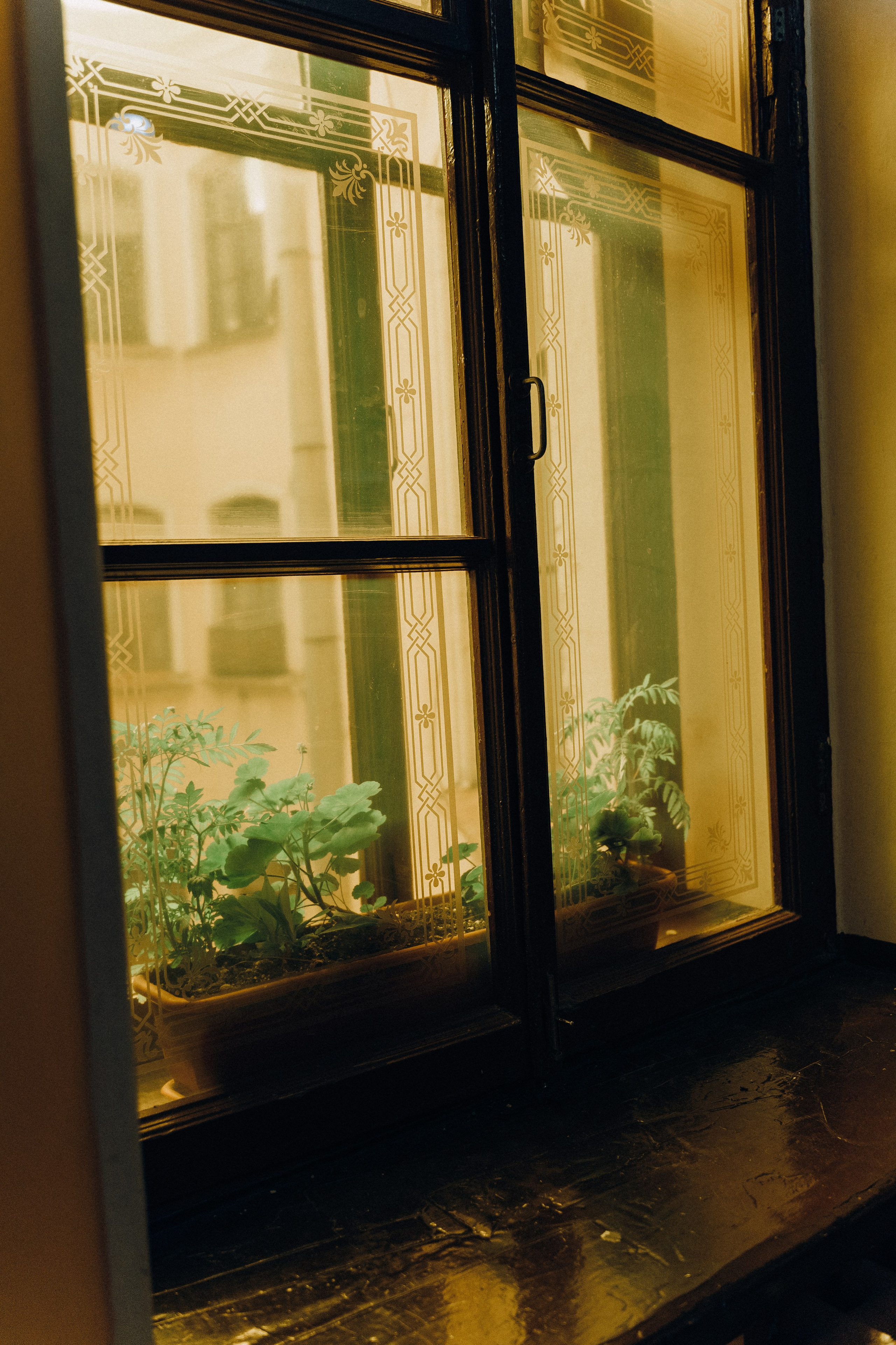 Василиса и Сергей. Фотограф в Санкт-Петербурге Юлия Гербель