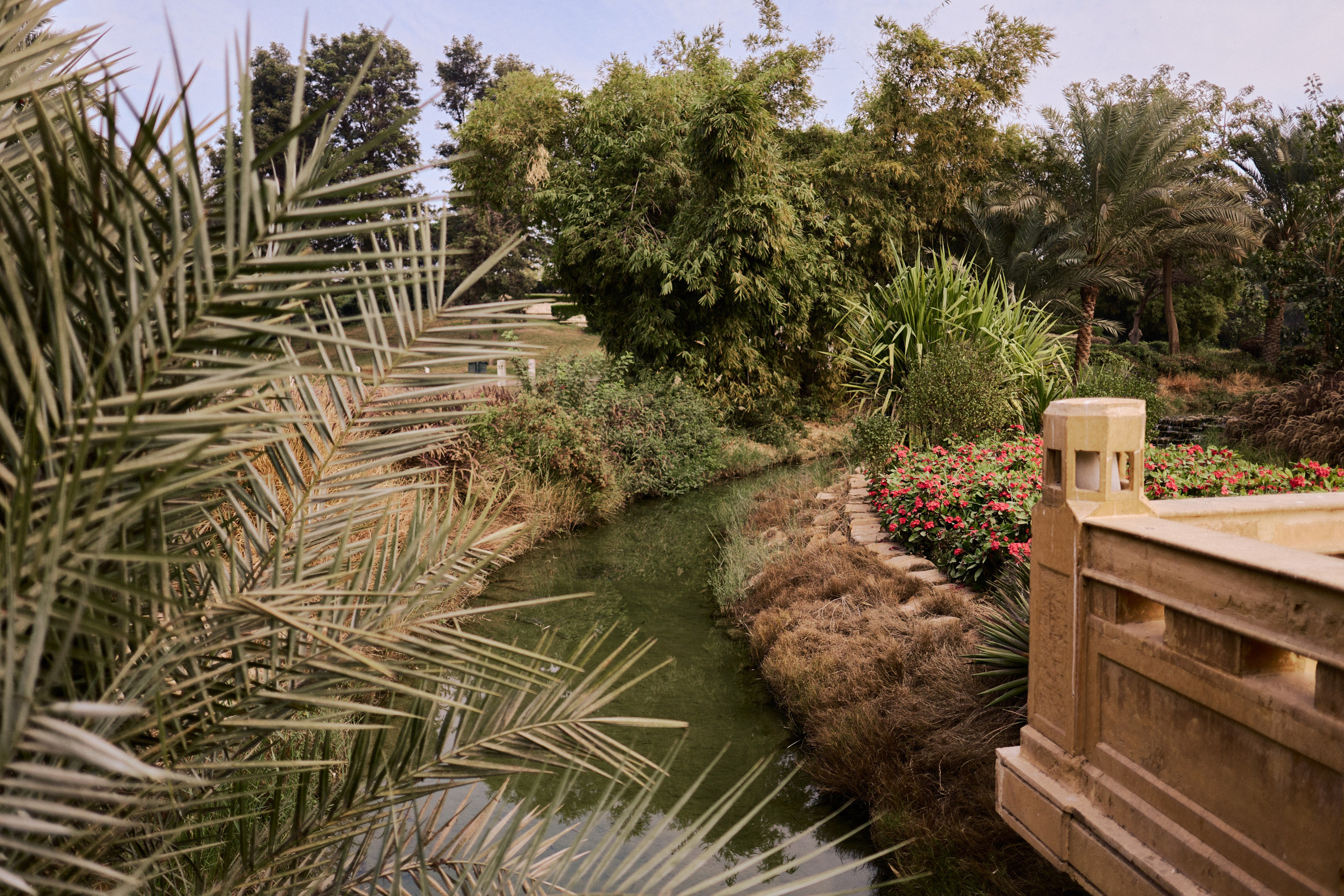 Другое 4. Jorgis — фотограф в Хургаде / обучение фотографии