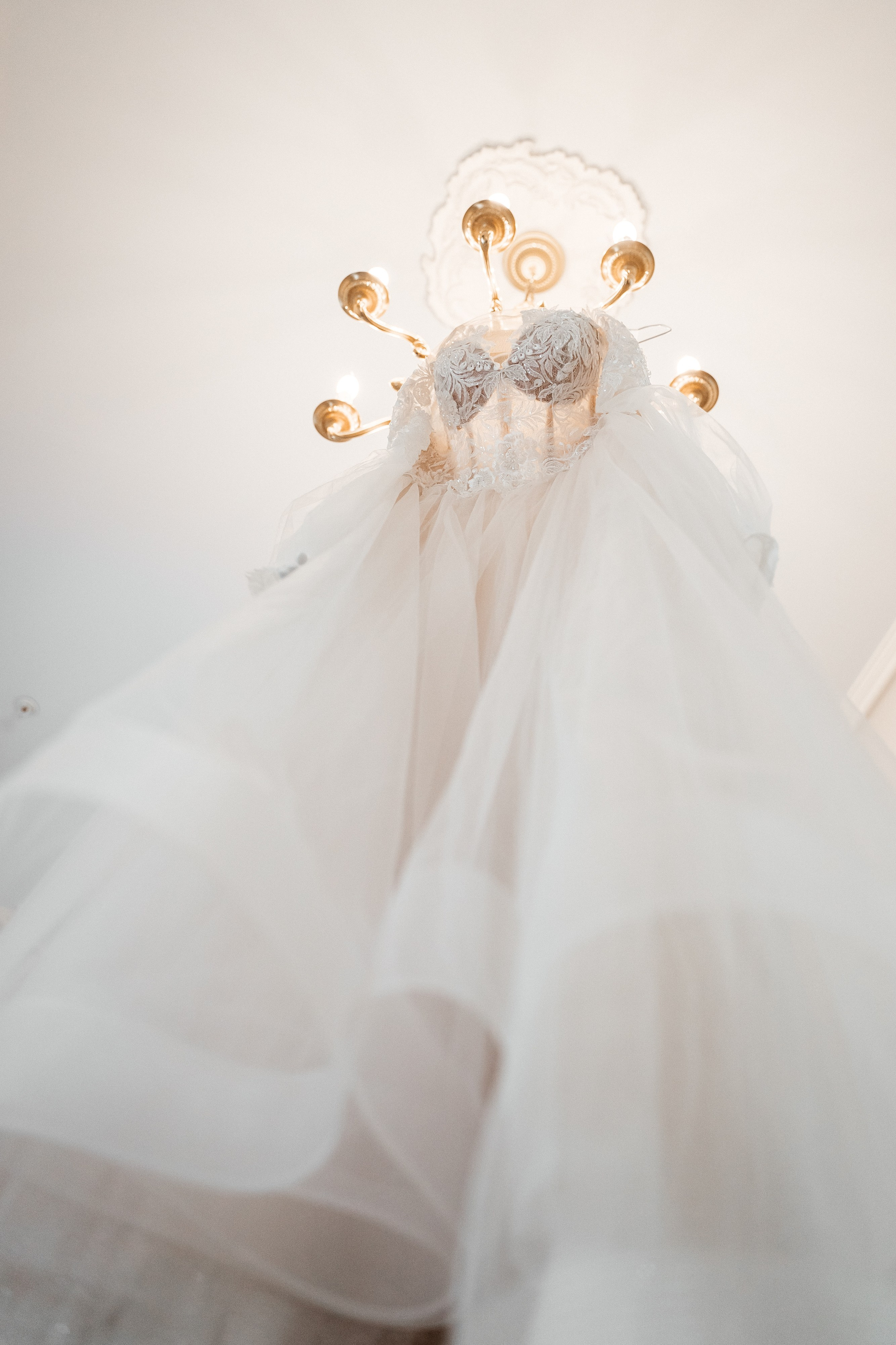 Weddings. Фотограф Офимкин Антон