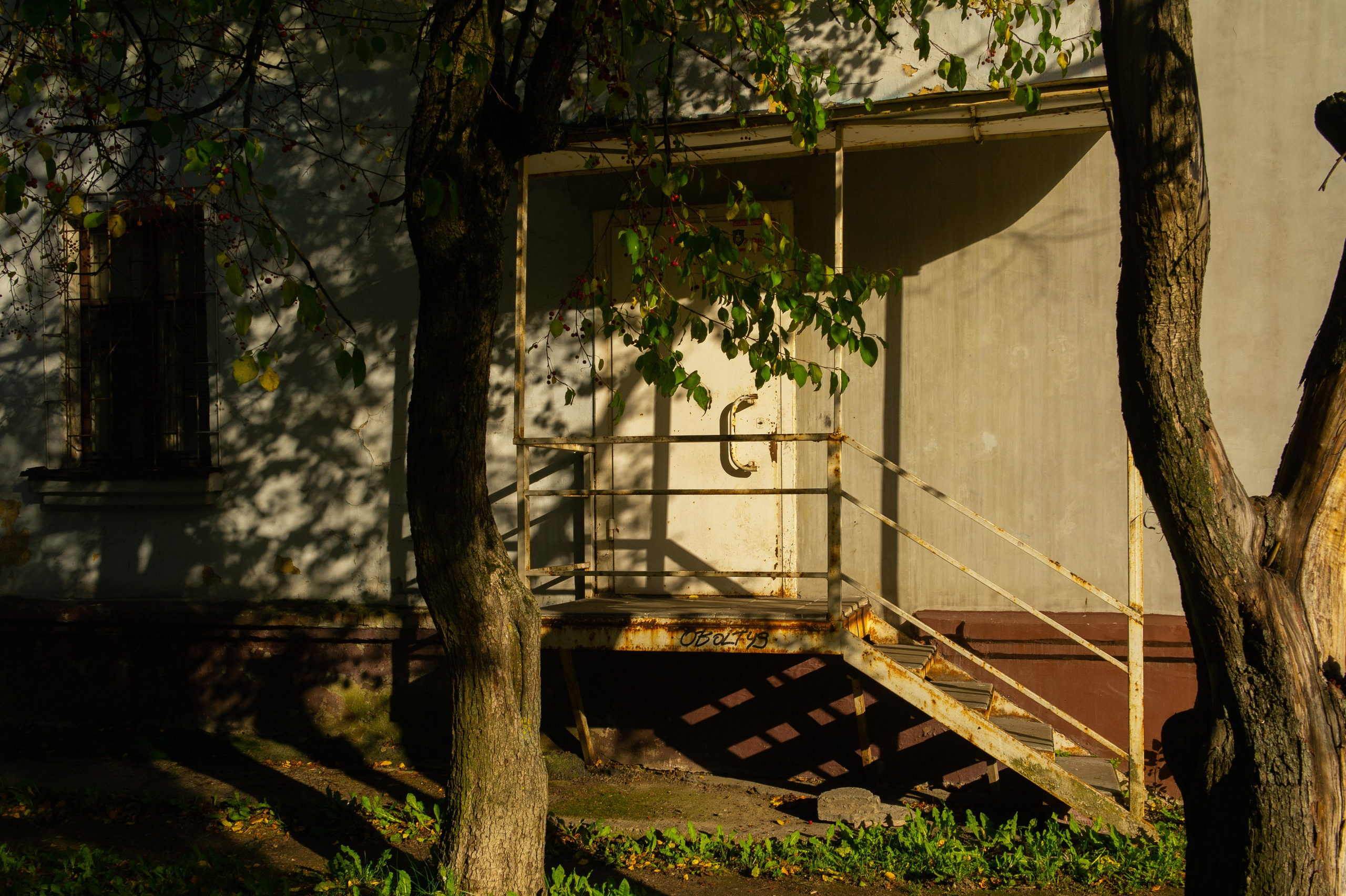 Сентябрь 2025. Den Mirov — Фотограф, Музыкант