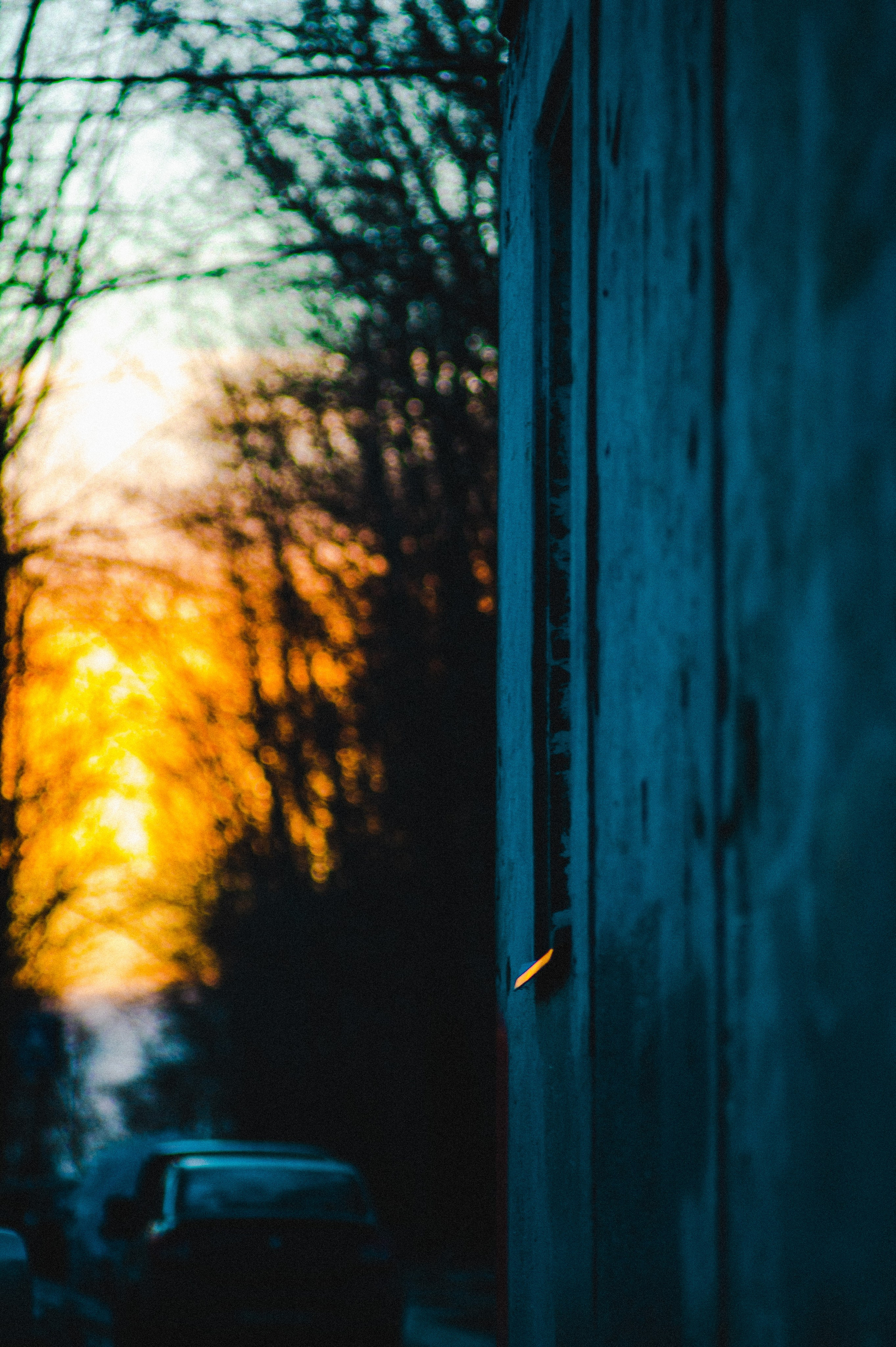 He spread his wings. Den Mirov — Photographer, Musician