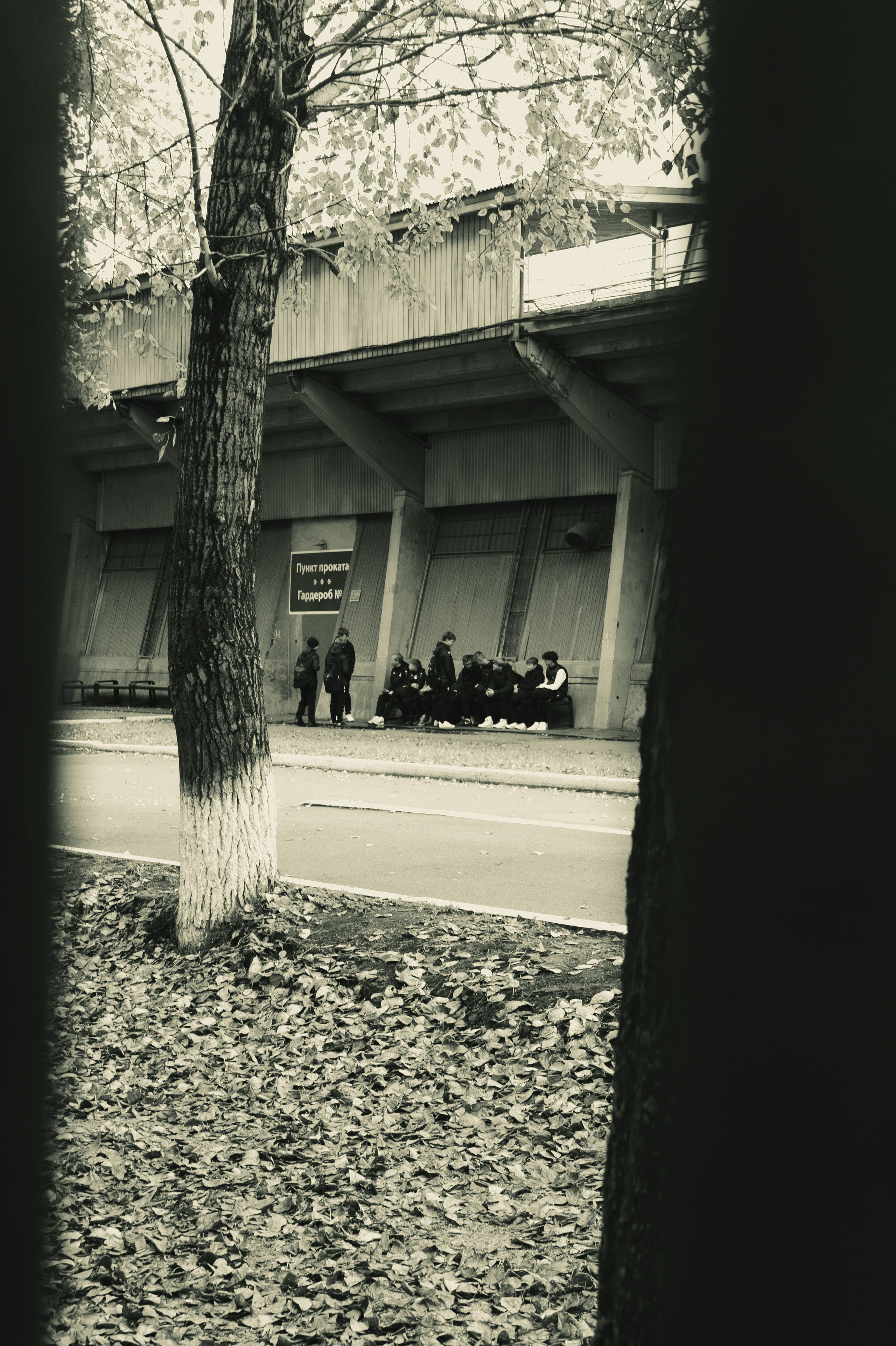 Сентябрь 2025. Den Mirov — Фотограф, Музыкант