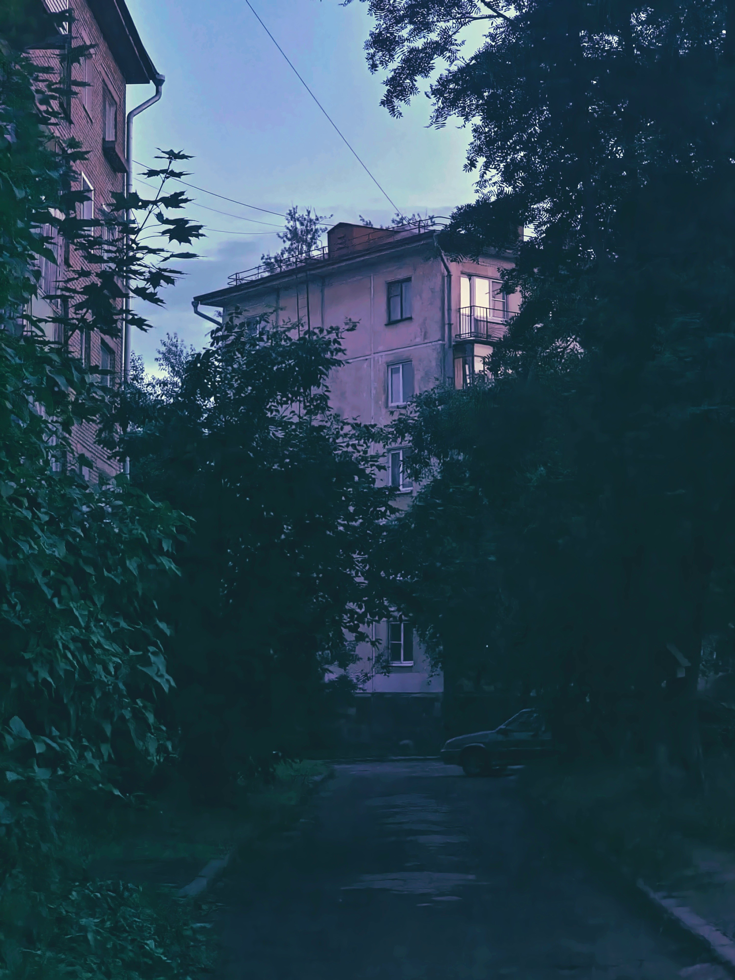 Июль 2025. Den Mirov — Фотограф, Музыкант