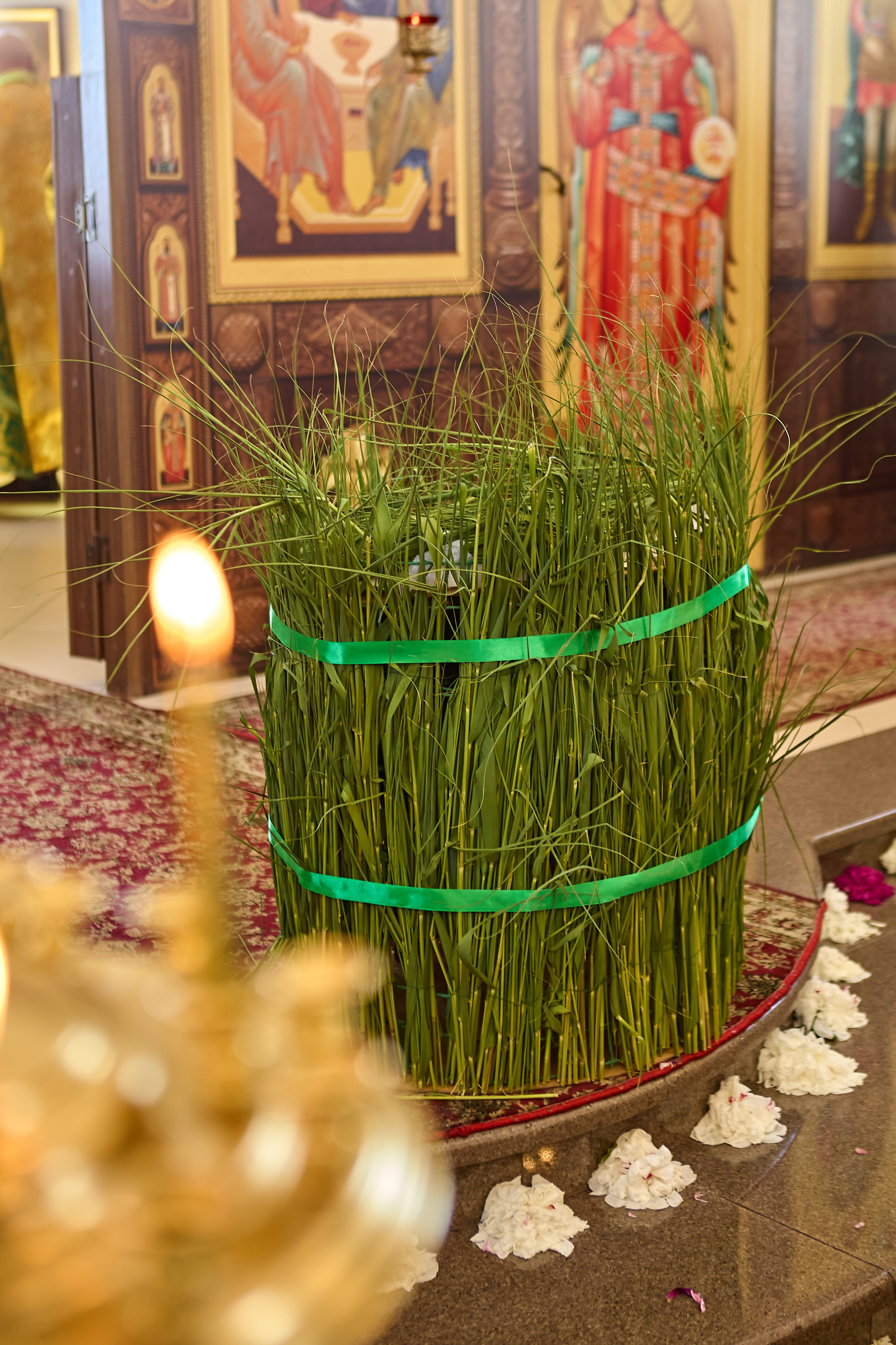 Троица в Церкви Троицы Живаначальной. Фотограф Анастасия Лёвушкина