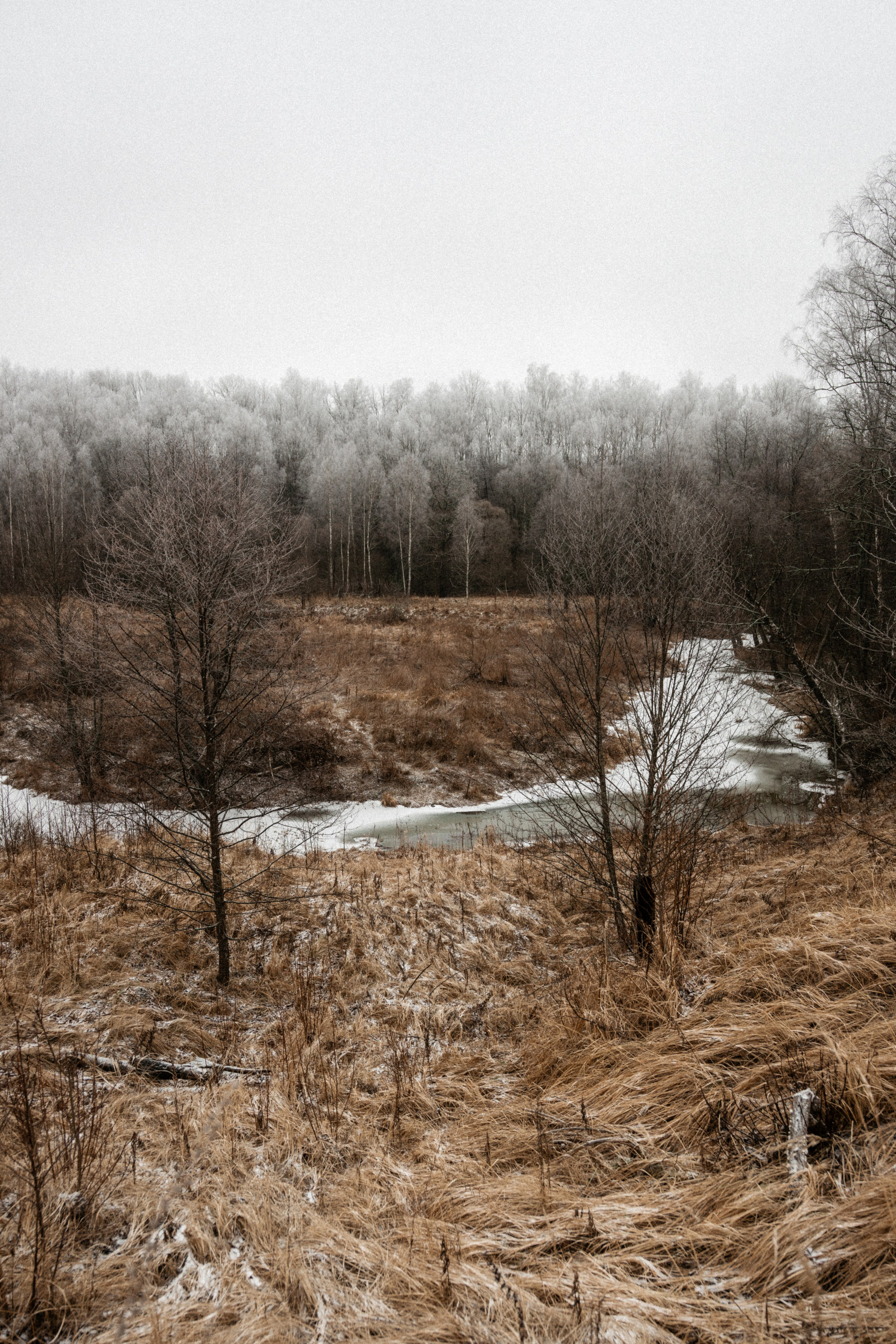 Прогулка по оврагу близ реки. Vlad Trykov