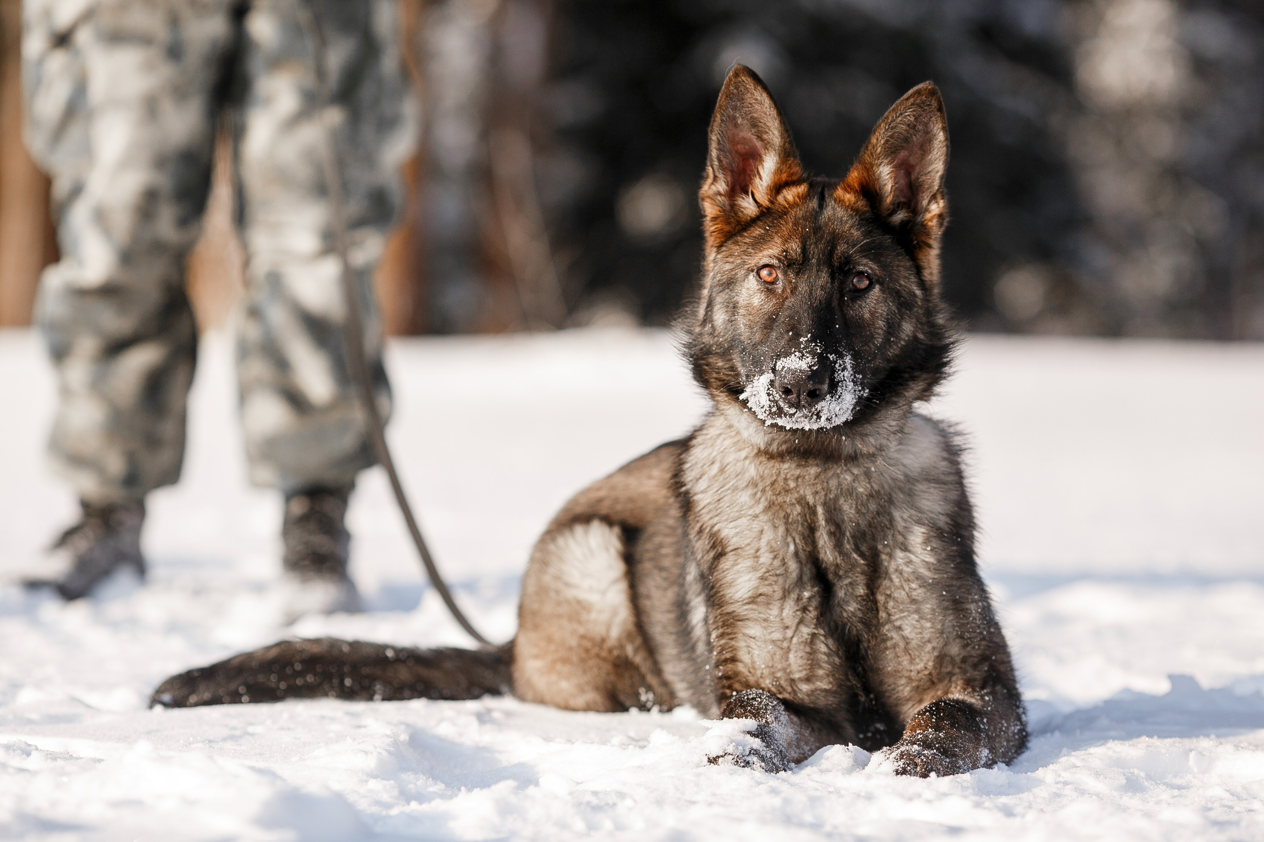 Репортажный фотограф Борис Геер
