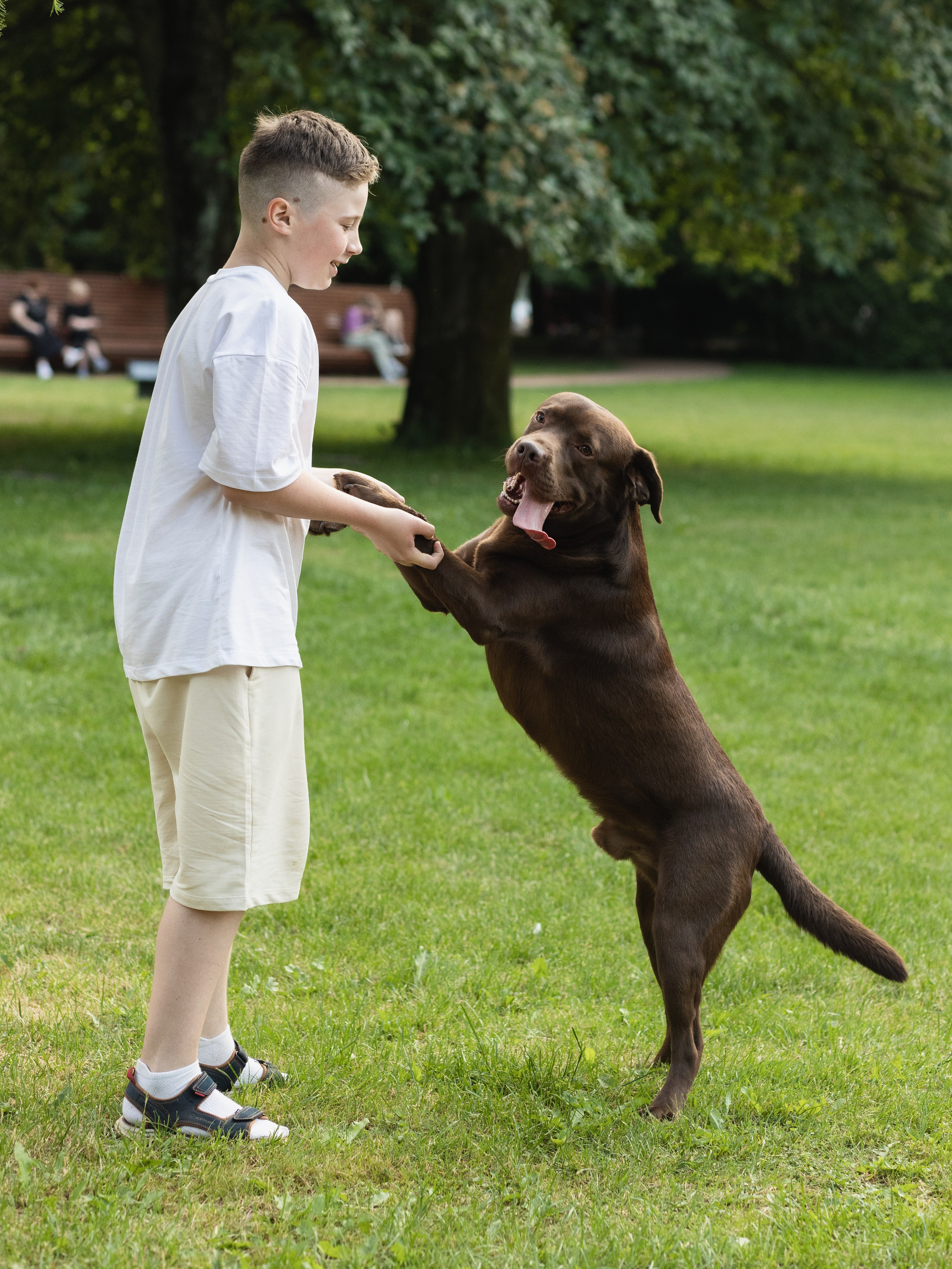 С домашними любимцами. Портретный фотограф в Калининграде Алеся Раух