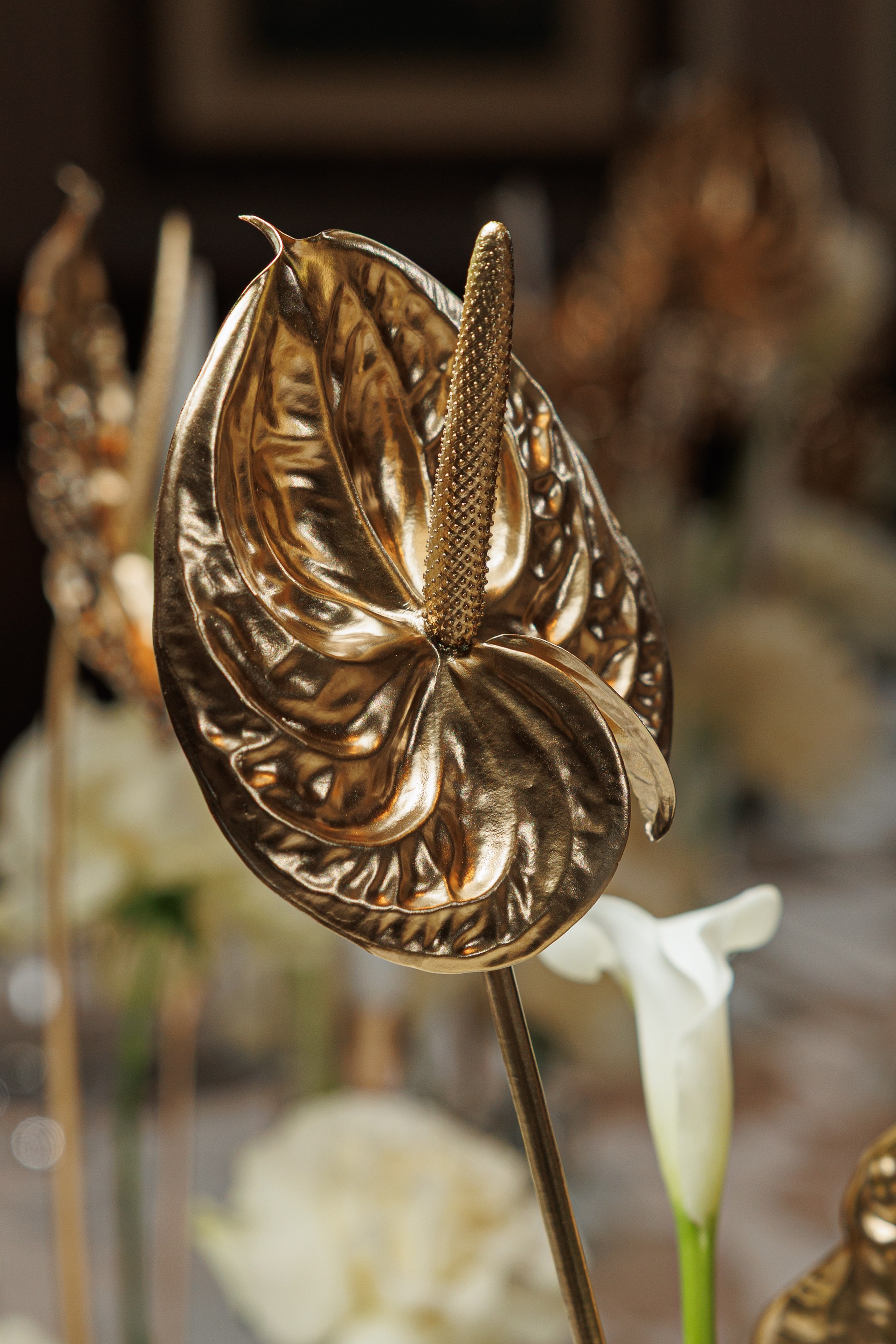 SAVOY. Репортажный фотограф Ольга Кочетова в Москве